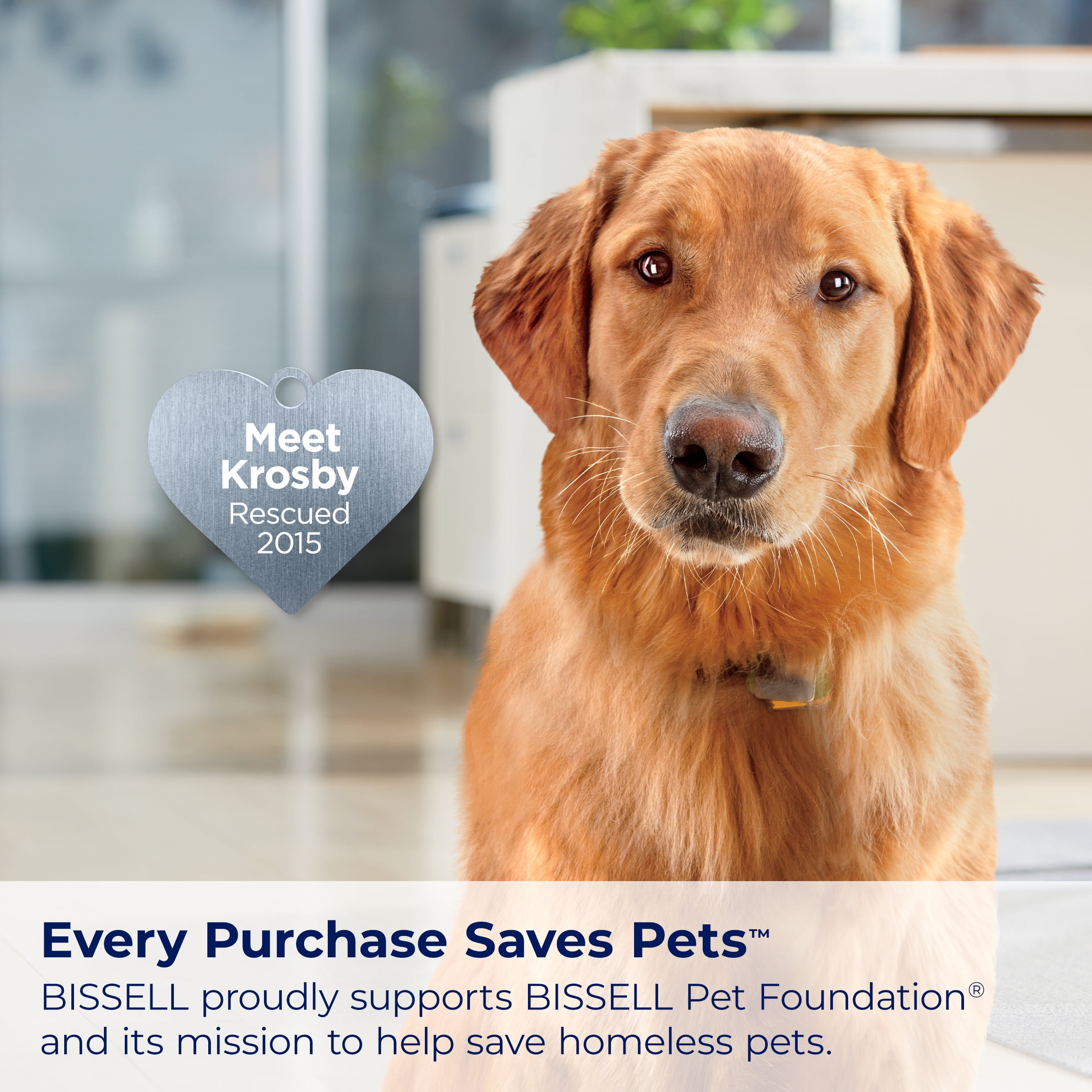 BISSELL ProHeat 2X Revolution Pet Pro Upright Deep Cleaner, for Carpets and Upholstery, TurboStrength Motor Technology, 3 Cleaning Modes, Heatwave Technology, 3586, Purple - Image 7