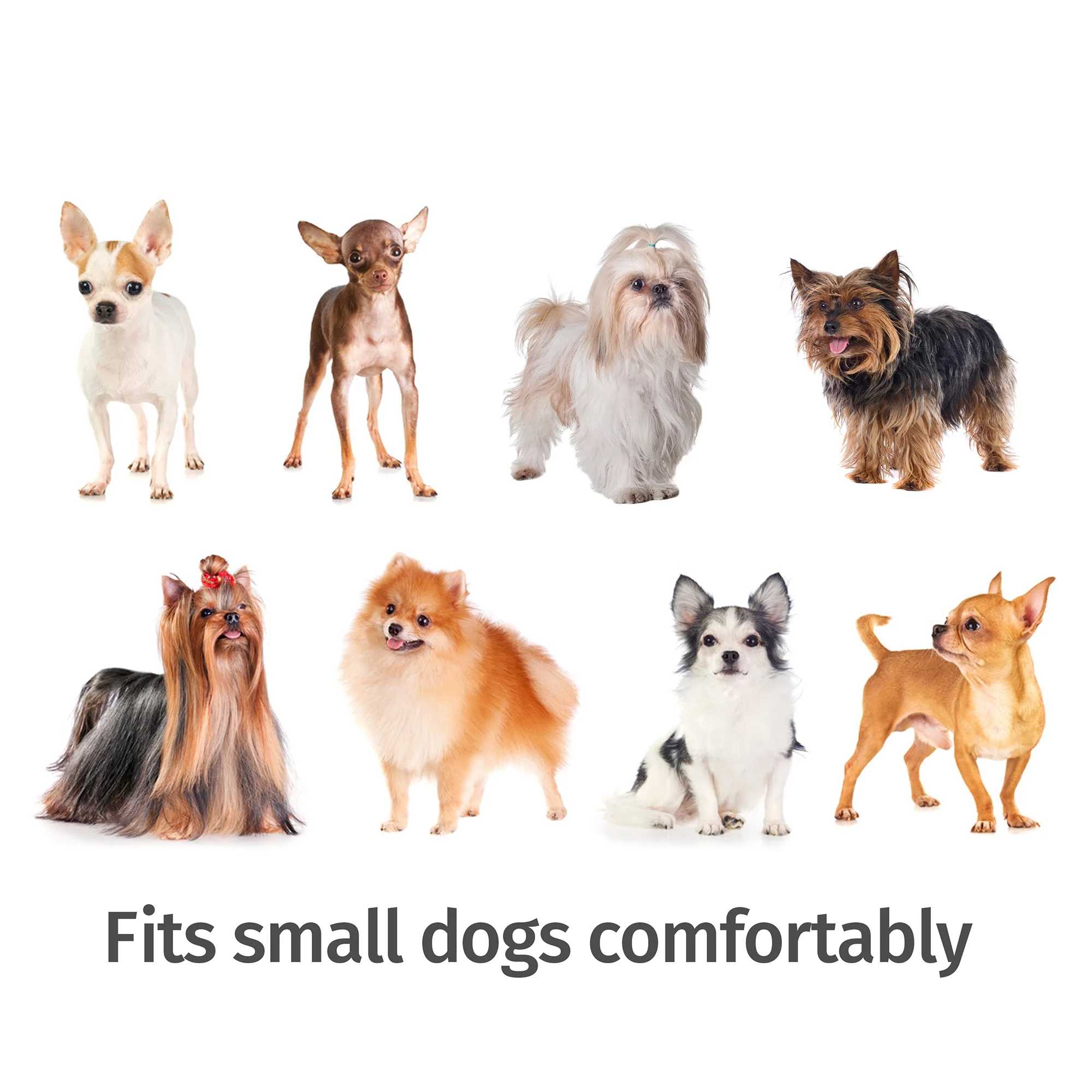 Lucky Dog Single-Door Chain Link Heavy Duty Outdoor Kennel, Silver, 5'L x 5'W x 4'H - Image 2