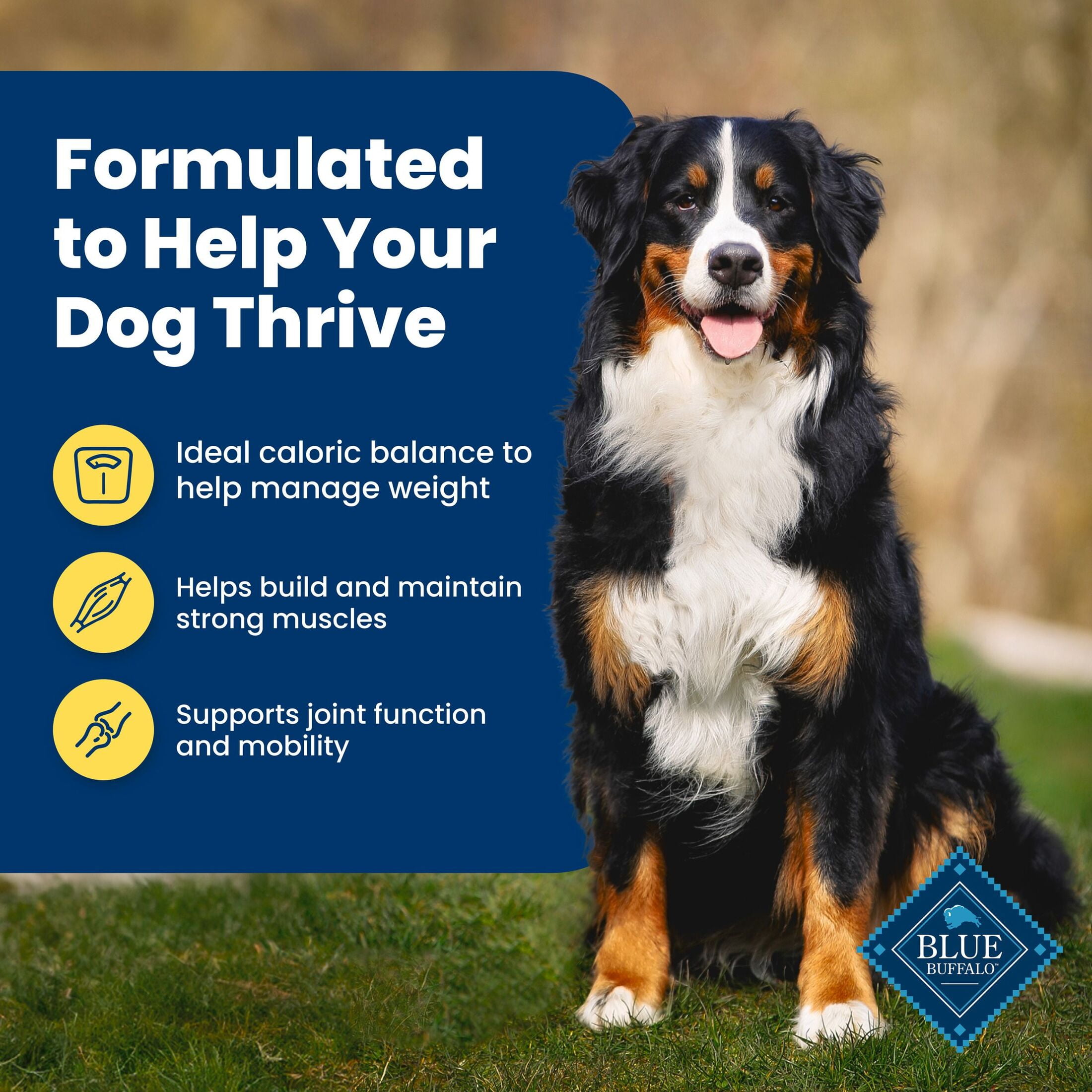 Blue Buffalo Life Protection Formula Healthy Weight Adult Dry Dog Food, Chicken, 34-lb Bag - Image 9