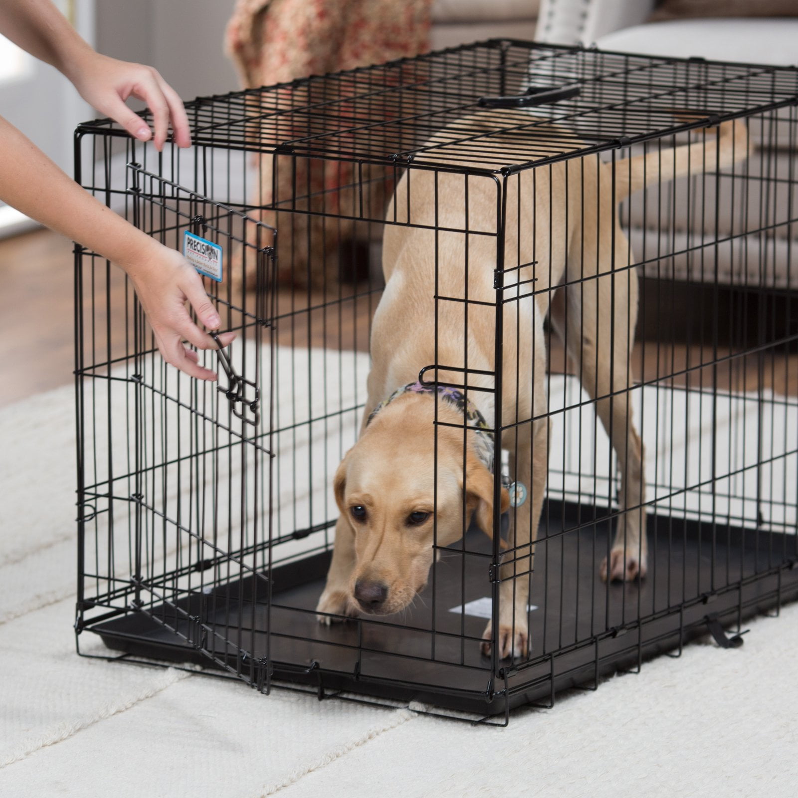 Precision Pet Products 36" Metal Pet Crate for Dogs with Mat - Image 9