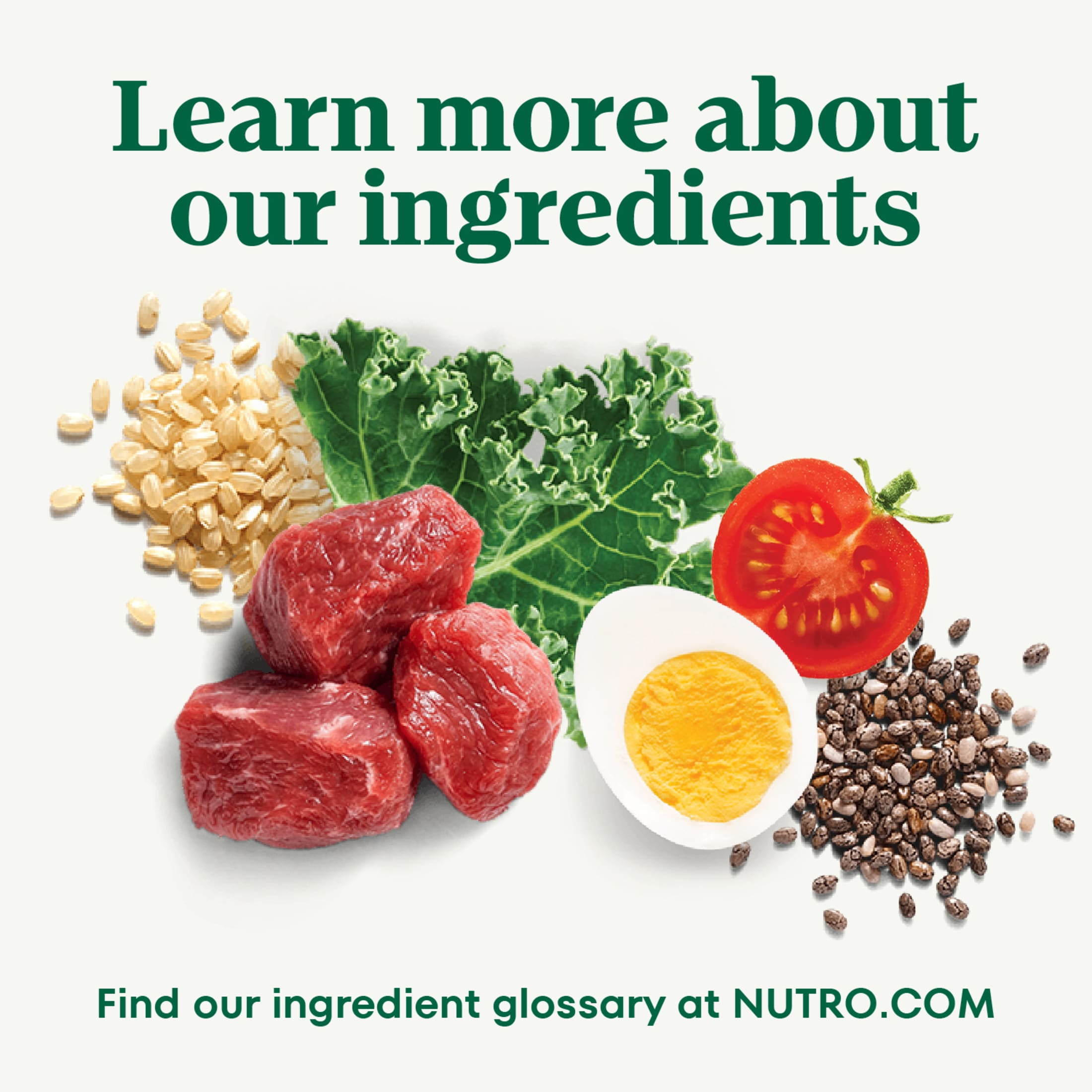 Nutro Natural Choice Adult Large Breed Dog Food Dry Recipe Chicken & Brown Rice, 36 Lb Bag - Image 3