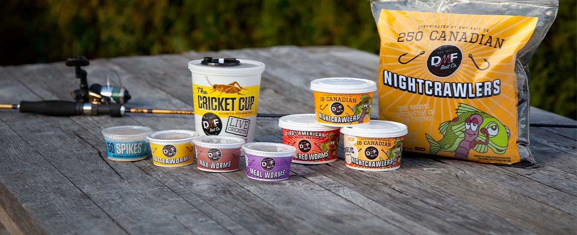 DMF Bait Co. Live Canadian Night Crawlers, Reusable Cooler, 250 Ct - Image 2