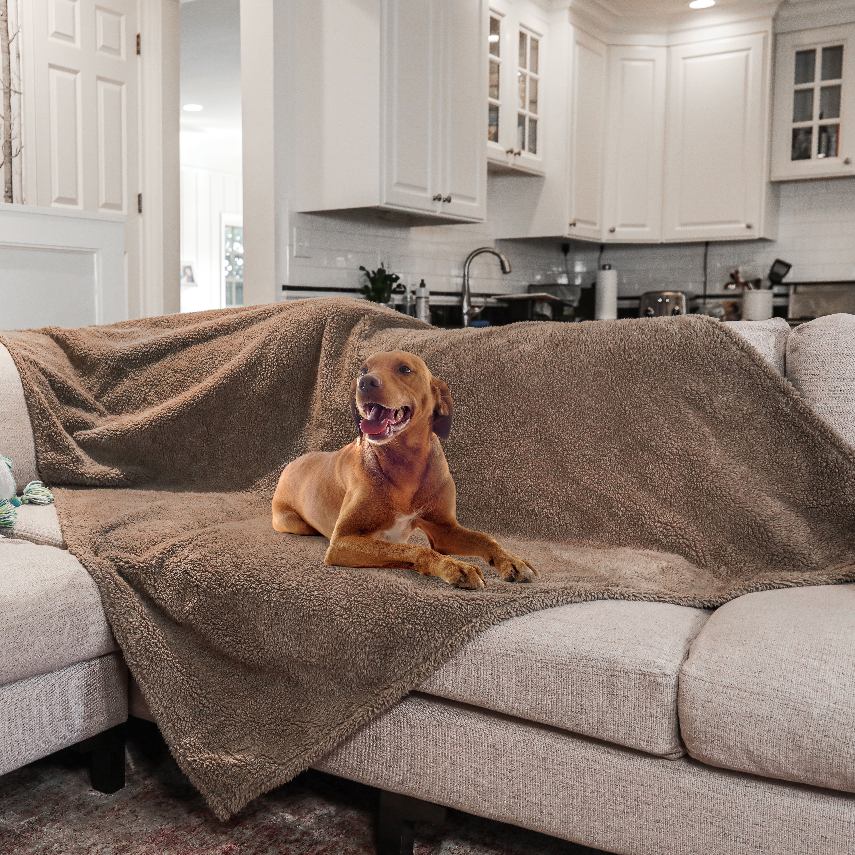 rocket & rex Extra Large Waterproof Dog Blanket, Brown, Washable Waterproof Pet Blanket Protects Beds, Couches & Other Furniture, Premium Fleece Fabric with Reversible Faux Suede, 56" x 73" - Image 5
