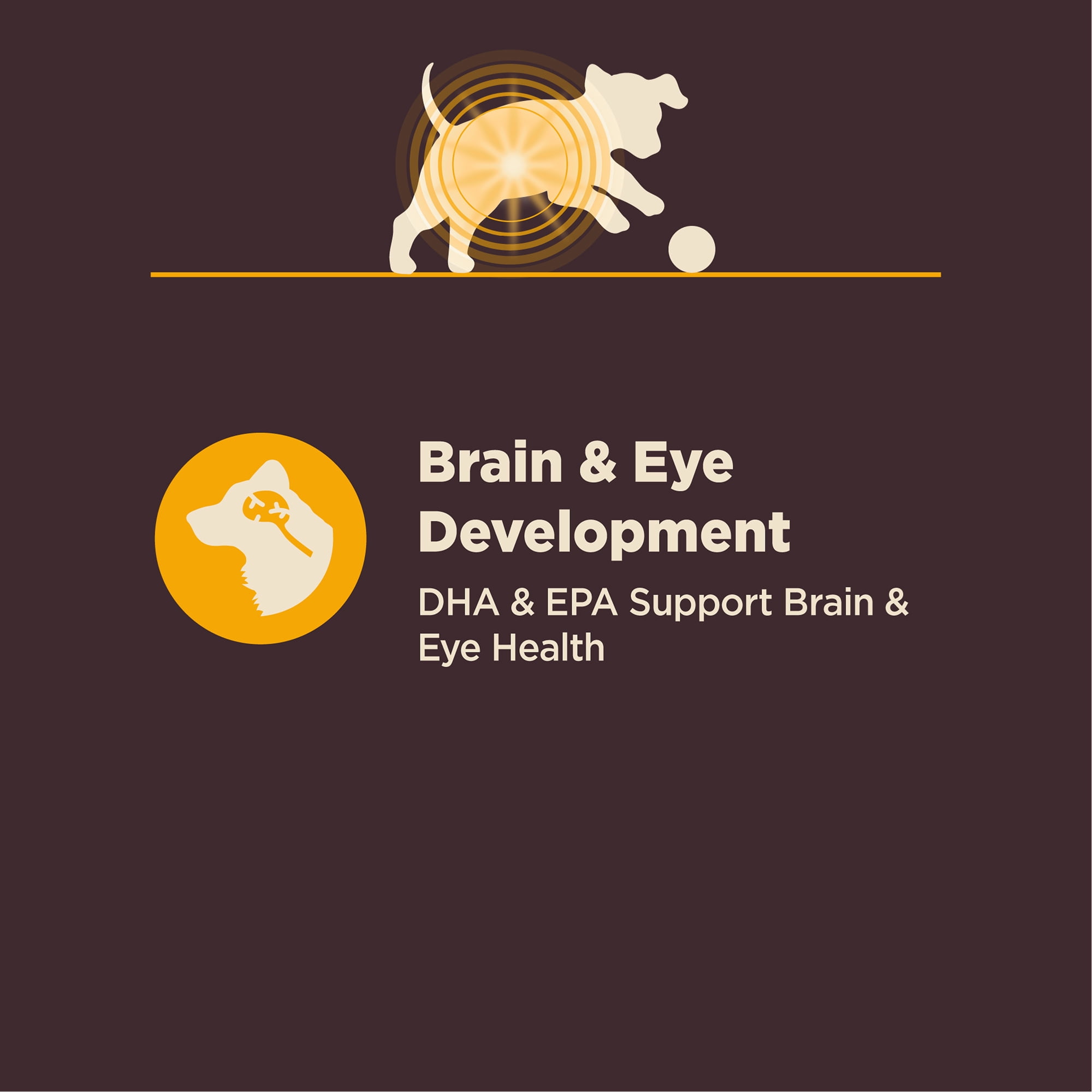 Wellness CORE Digestive Health Puppy Dry Dog Food, Wholesome Grains, Natural, High Quality Ingredients for Dogs with Sensitive Stomachs, Chicken Recipe, (24-Pound Bag) - Image 4