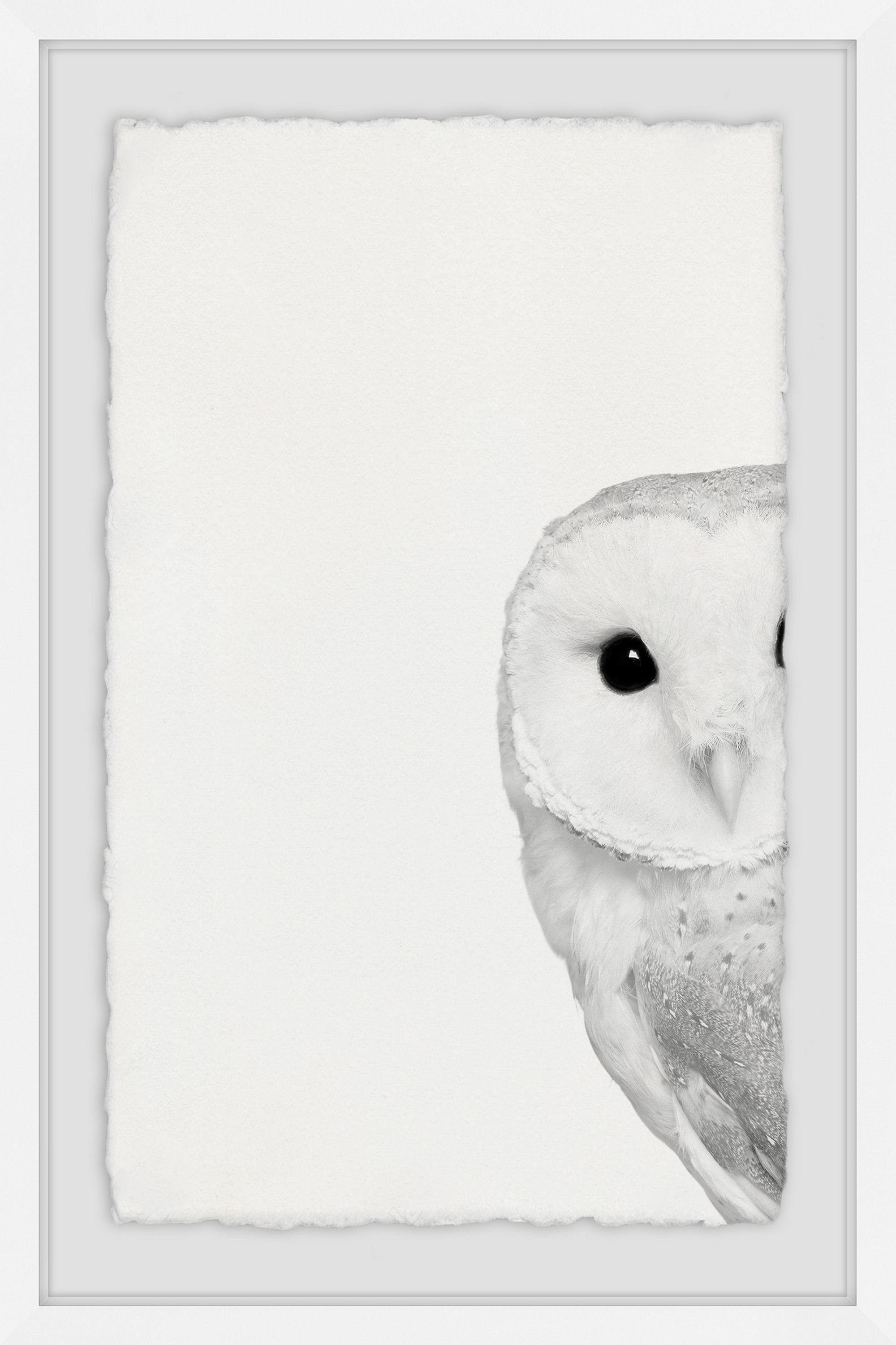 Hidden Owl Framed Painting Print - Image 2