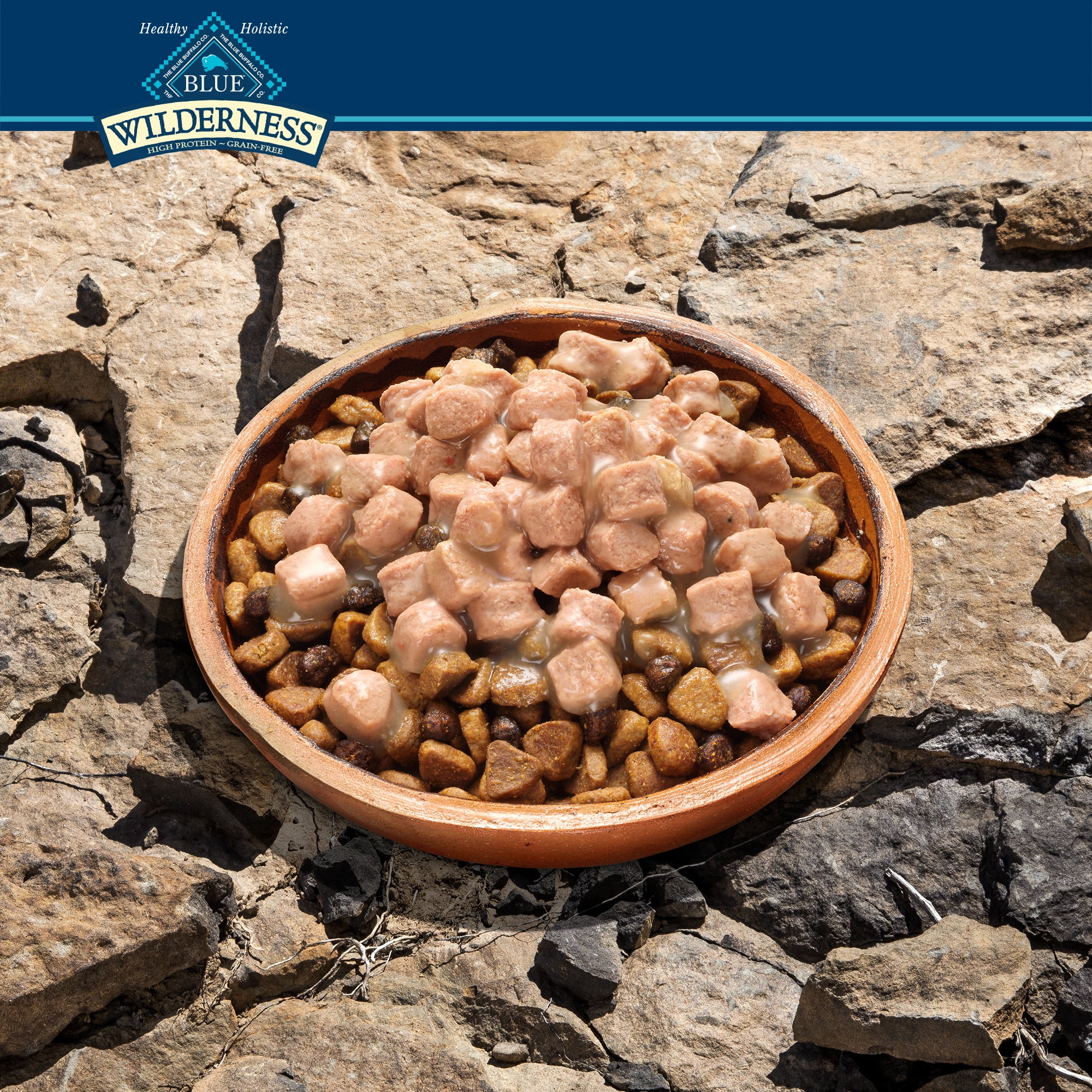 Blue Buffalo Wilderness Trail Toppers Wild Cuts High Protein Grain Free, Natural Wet Dog Food, Chunky Beef Bites in Hearty Gravy 3-oz pouch (pack of 24) - Image 4