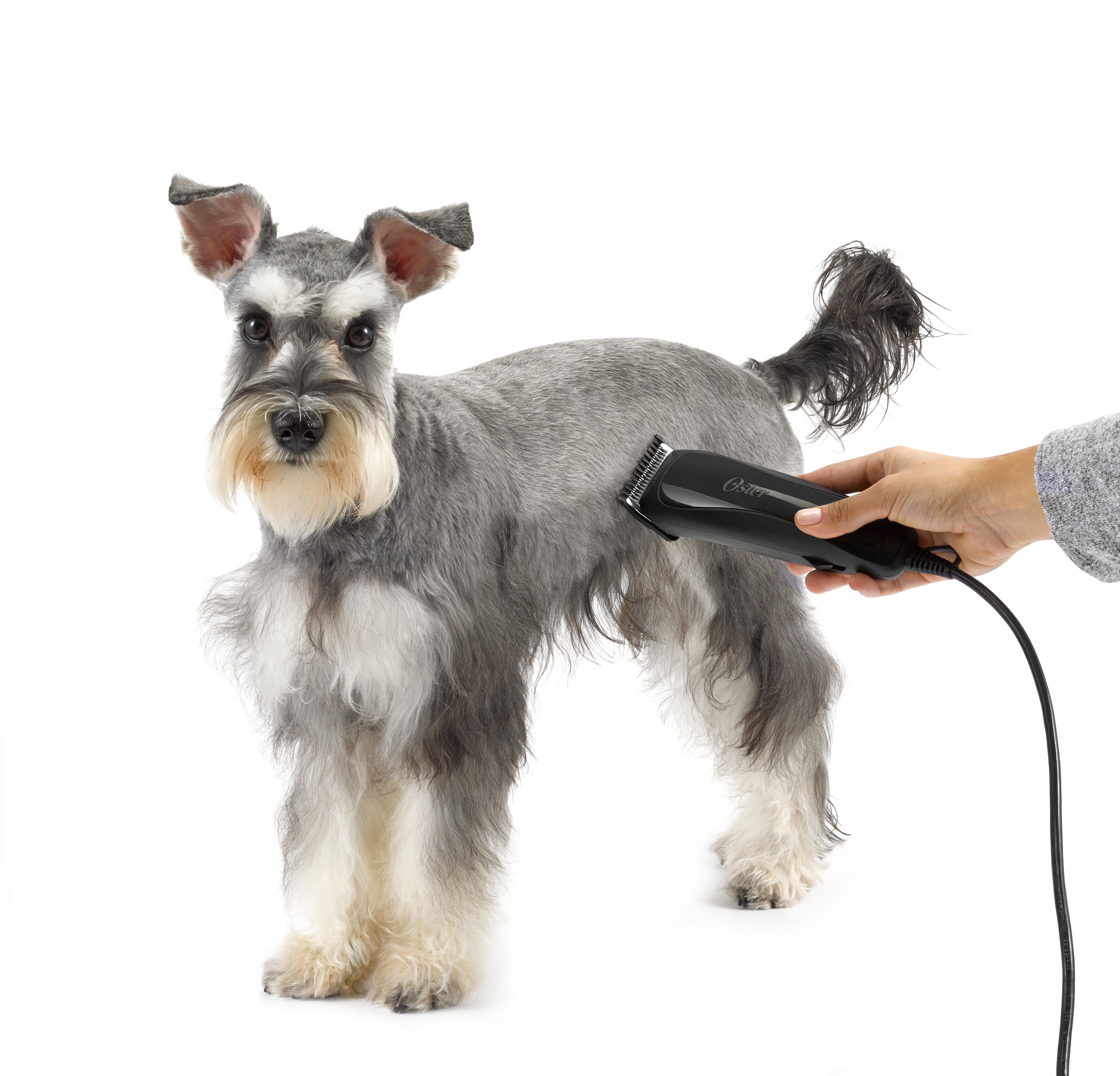 Oster Calm Clips Medium Duty Clipper Grooming Kit for Dogs & Cats - Image 11