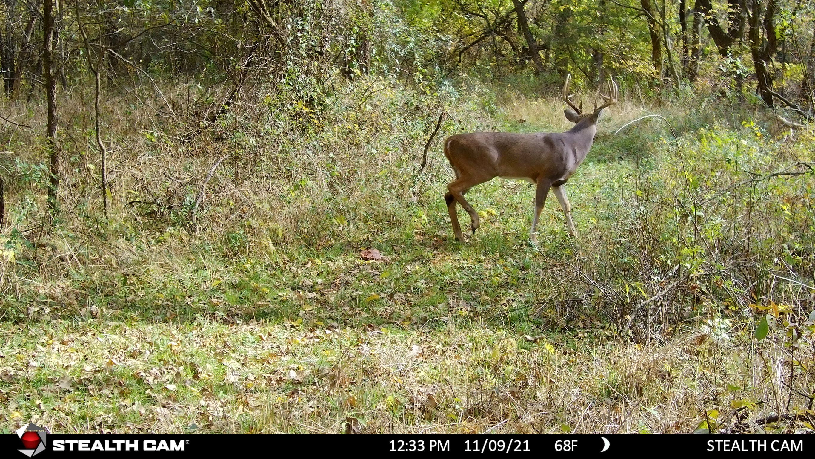 Stealth Cam DS4K Ultimate 32MP Photo & 4K at 30 FPS Day & Night Video 0.2 Sec Trigger Speed Hunting Game Camera - Supports SD Cards Up to 128GB - Image 9