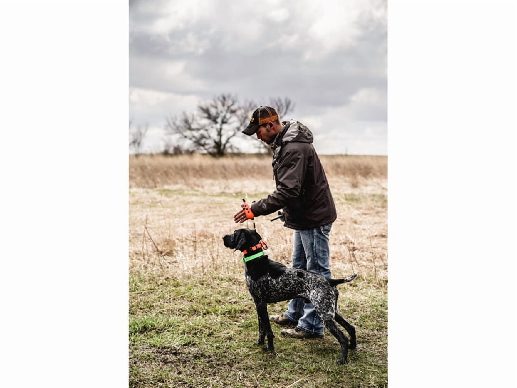 DT Systems The Rapid Access Pro Trainer 1450 Upland Electronic Dog Collar Combo Orange - Image 2