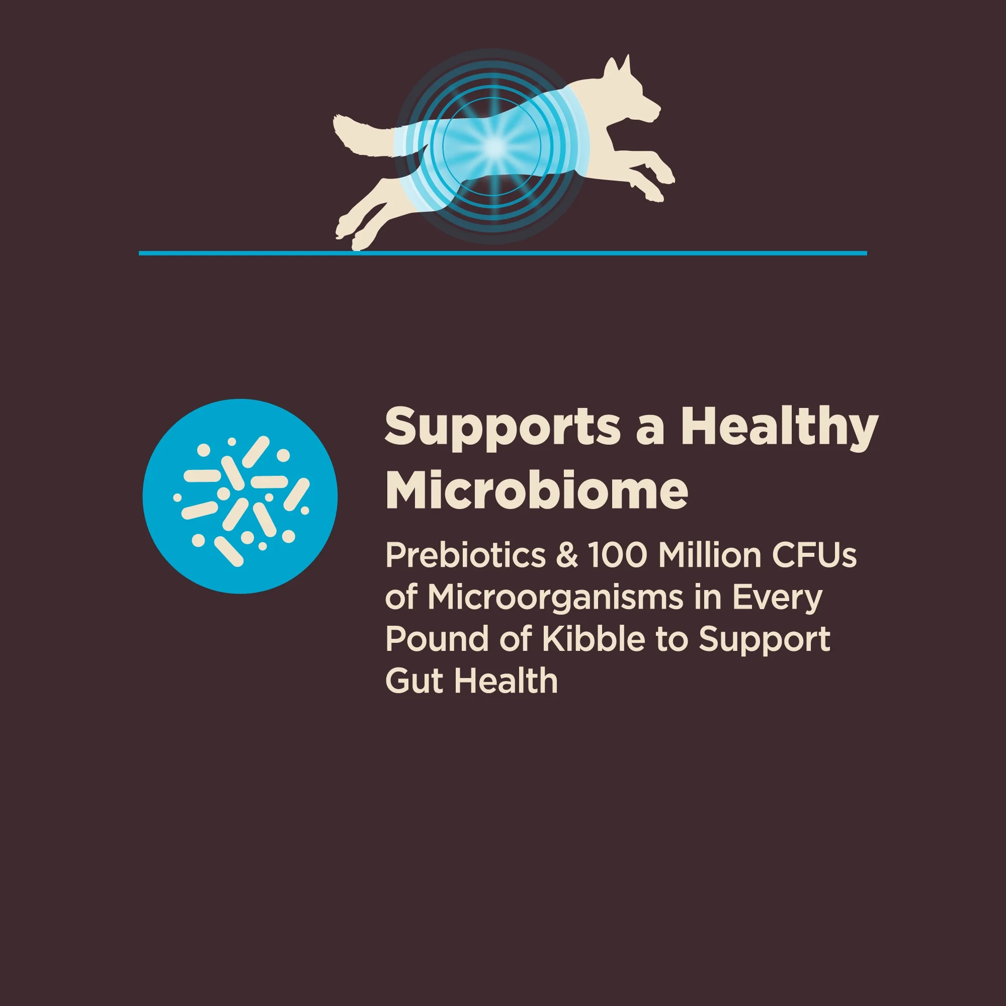 Wellness CORE Digestive Health Dry Dog Food, Wholesome Grains, Natural, High-Quality Ingredients for Dogs with Sensitive Stomachs, Whitefish & Brown Rice Recipe, (22-Pound Bag) - Image 2