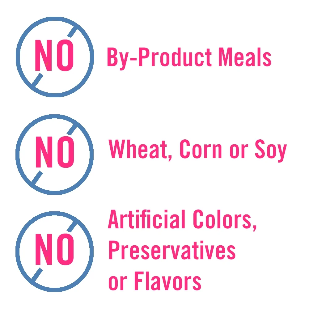 Chicken Soup for the Soul Classic Cat - Salmon Dinner in Gravy Recipe Shreds (24 x 5.5oz Case) - Image 4