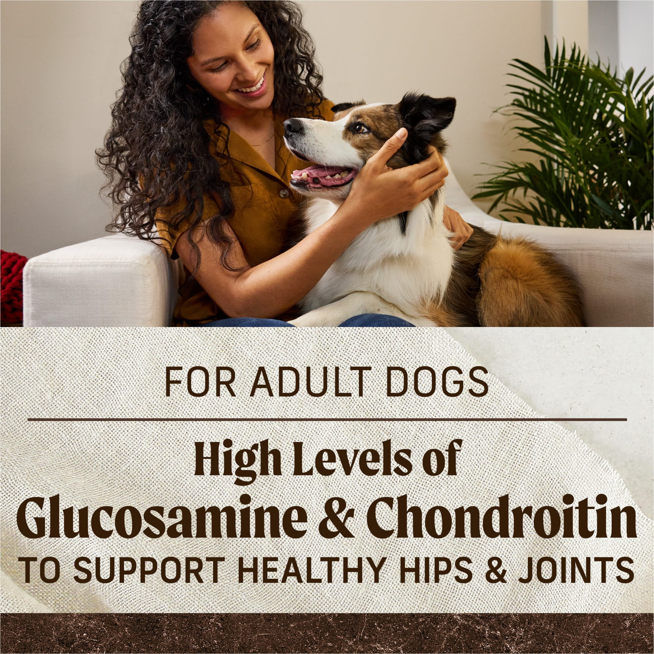 Merrick Premium Grain Free Dry Adult Dog Food, Wholesome And Natural Kibble, Real Beef And Sweet Potato, 30.0 lb. Bag - Image 2