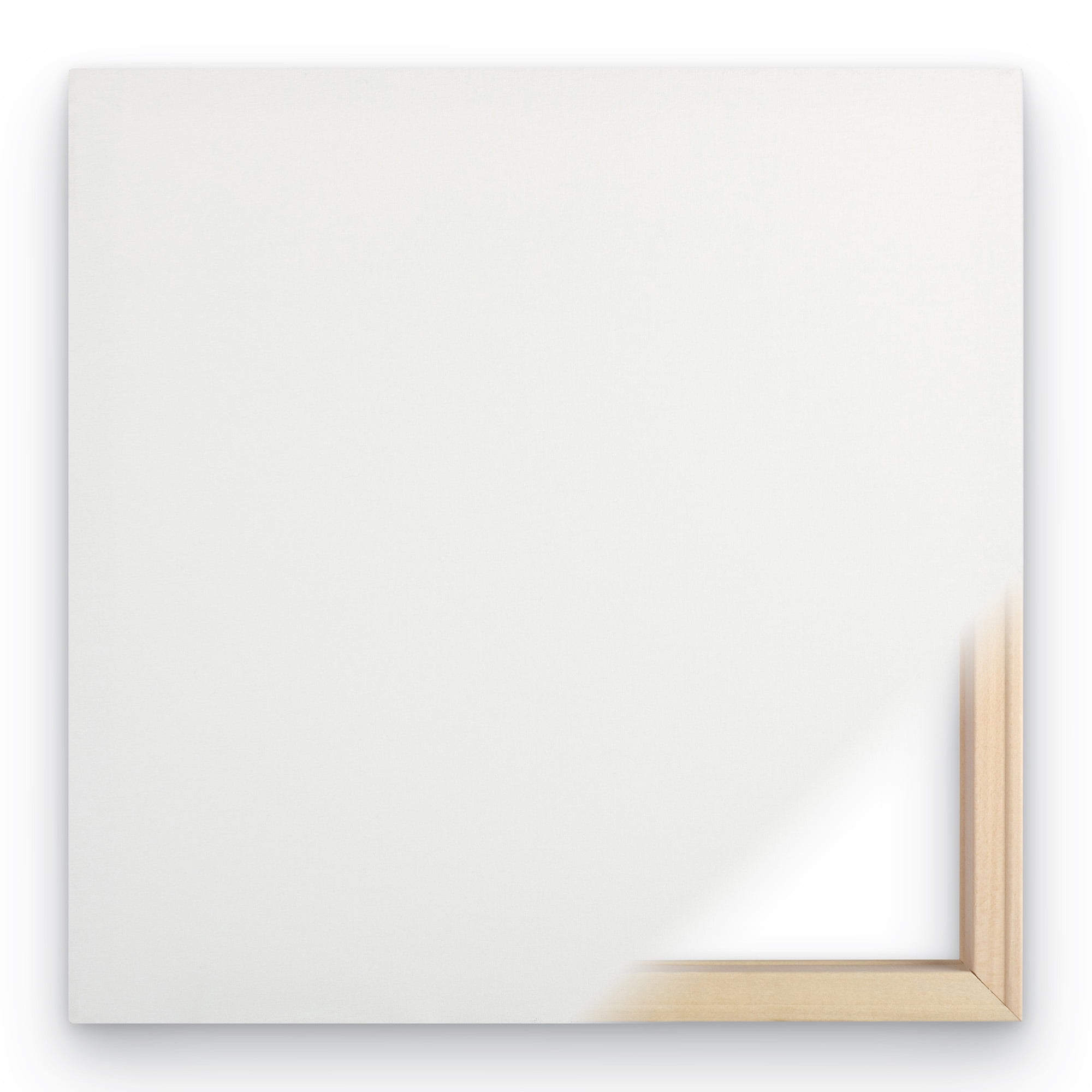 Trademark Fine Art Sylvie Demers In Vitro Canvas Wall Art - 24x47 - Image 4