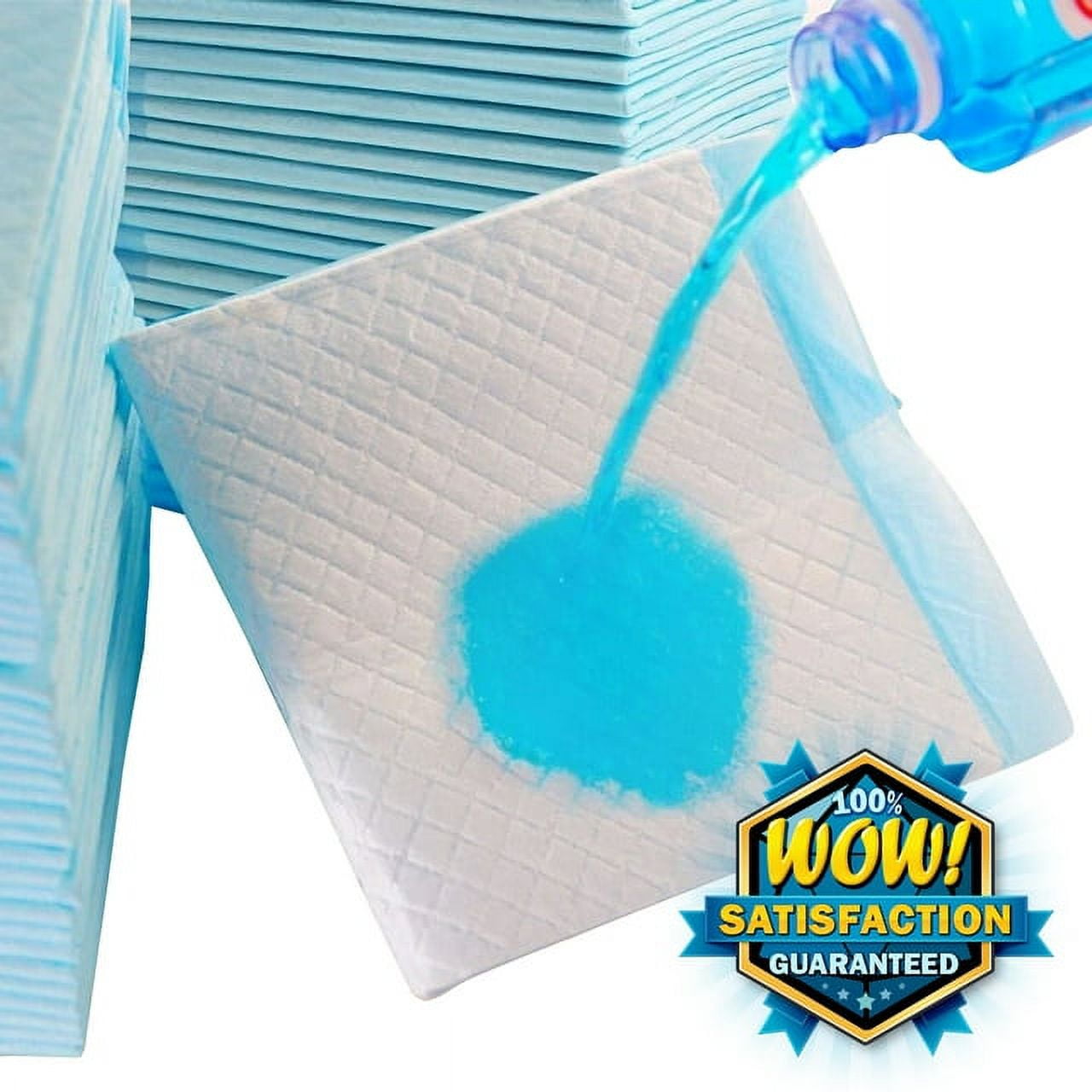 Economy Value Puppy Training & Potty Pads (24x24 inch) 400 Count - Image 2