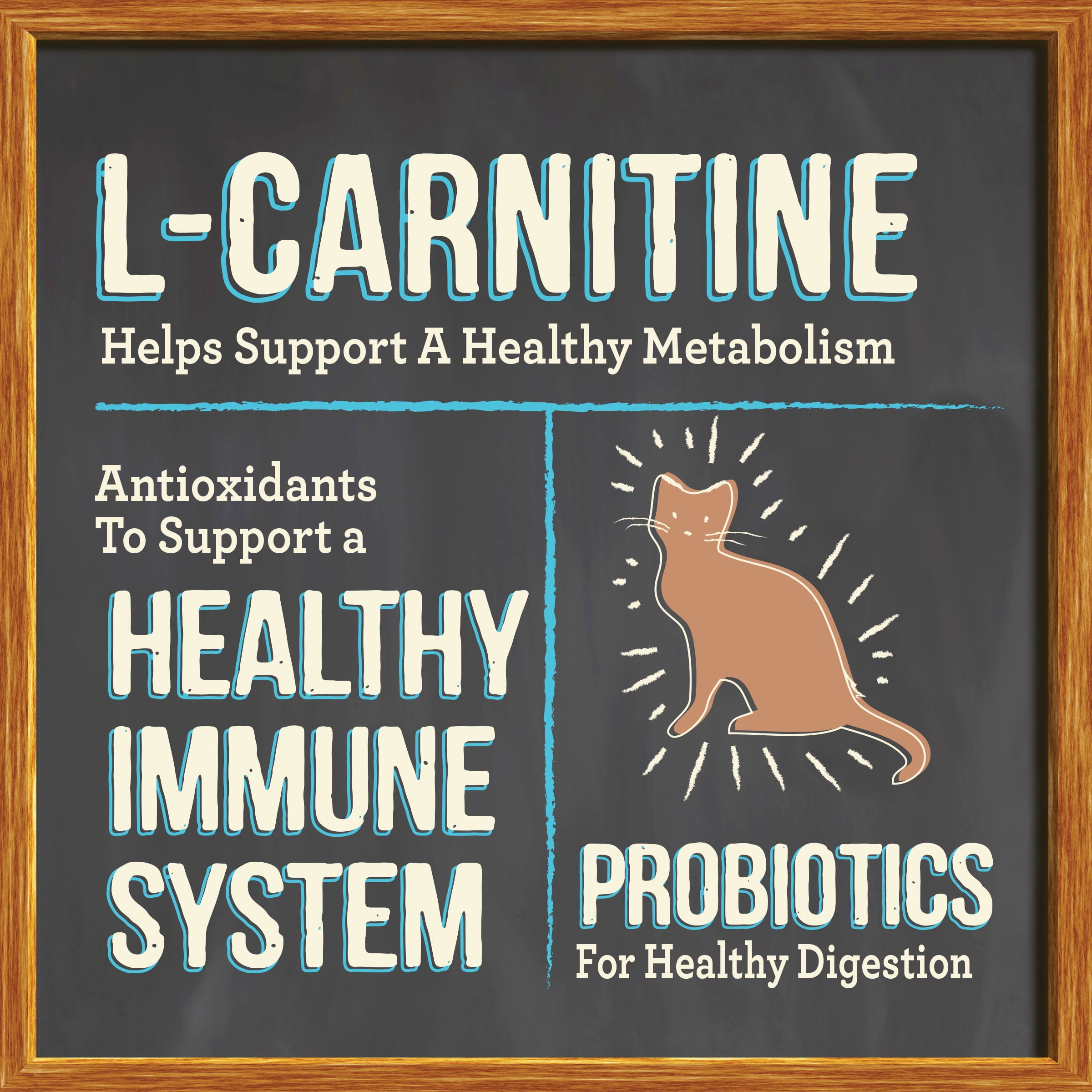 Merrick Purrfect Bistro Sensitive Stomach, Dry Cat Food, Chicken & Sweet Potato, 12 lb Bag - Image 5