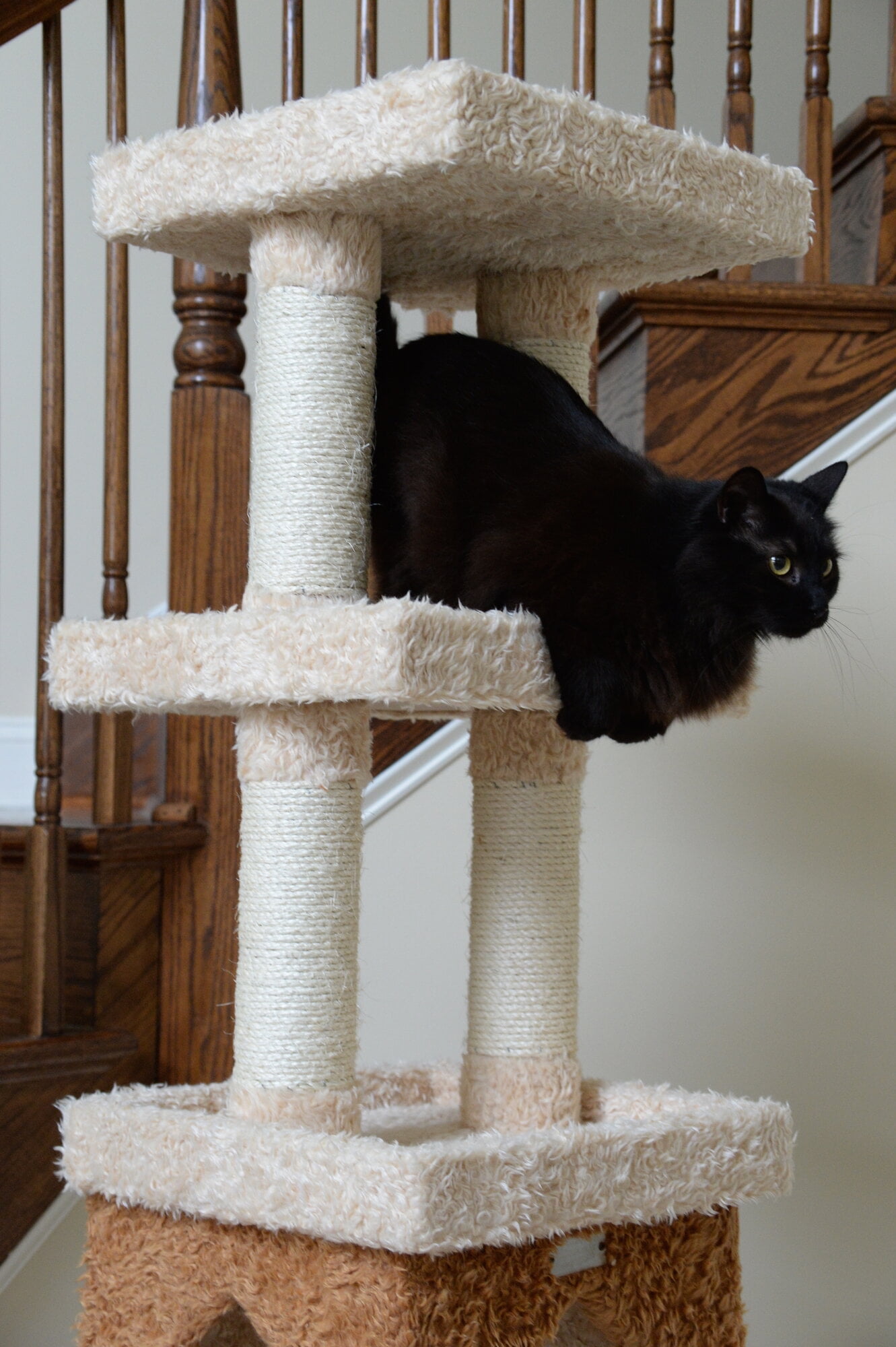 Armarkat Premium Cat Tree Model X8303, Beige - Image 2