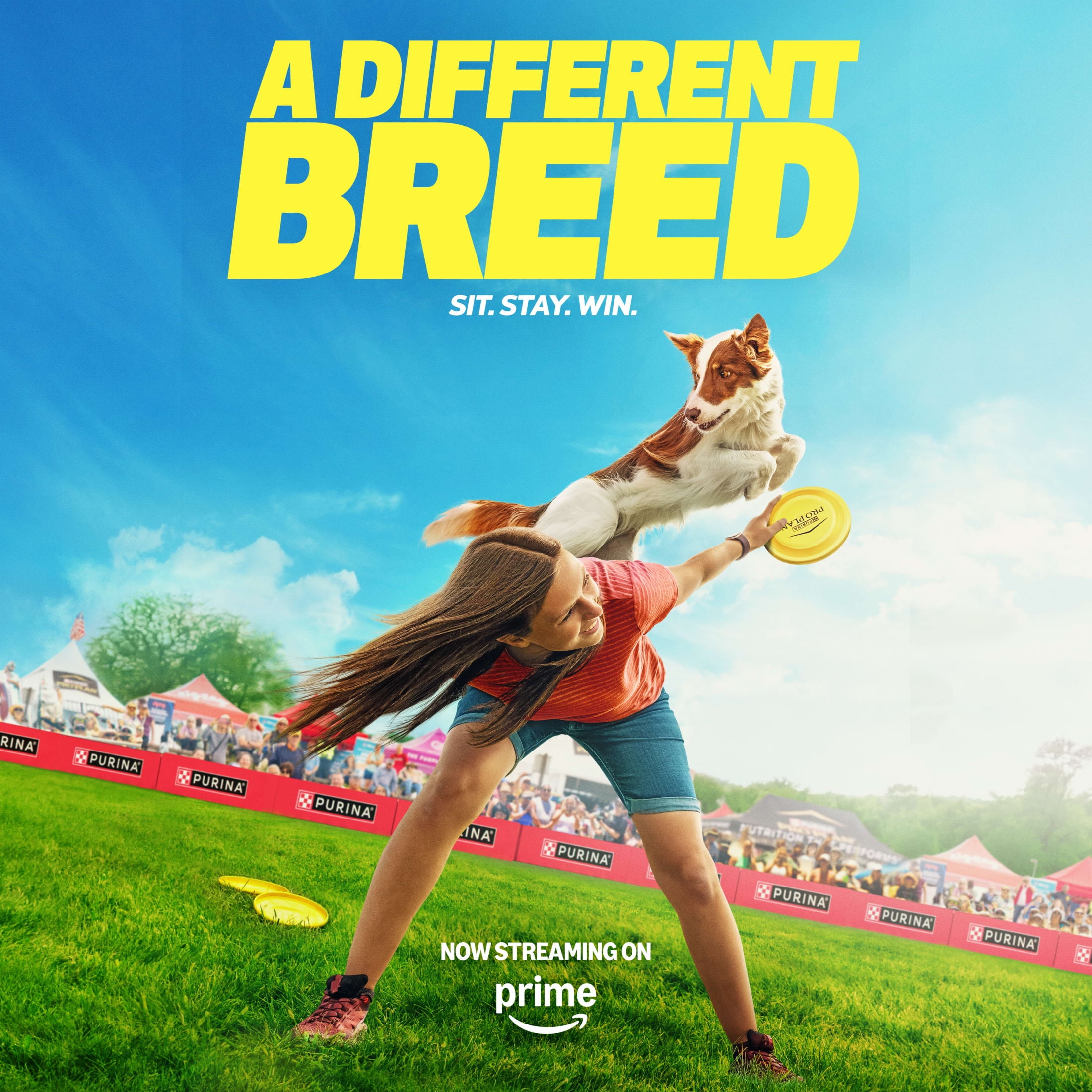 Purina Pro Plan Puppy Dry Dog Food, Dogs Under 1 Year, High Protein Real Lamb & Rice Formula, 34 lb Bag - Image 8