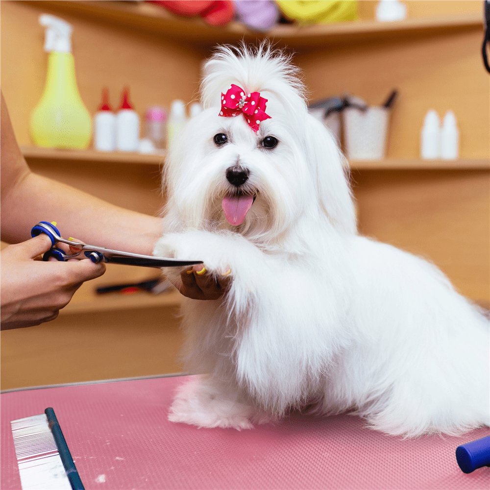 Renwick 36inch Pet Grooming Table Folding Adjustable Arm with Clamp, Pink - Image 6