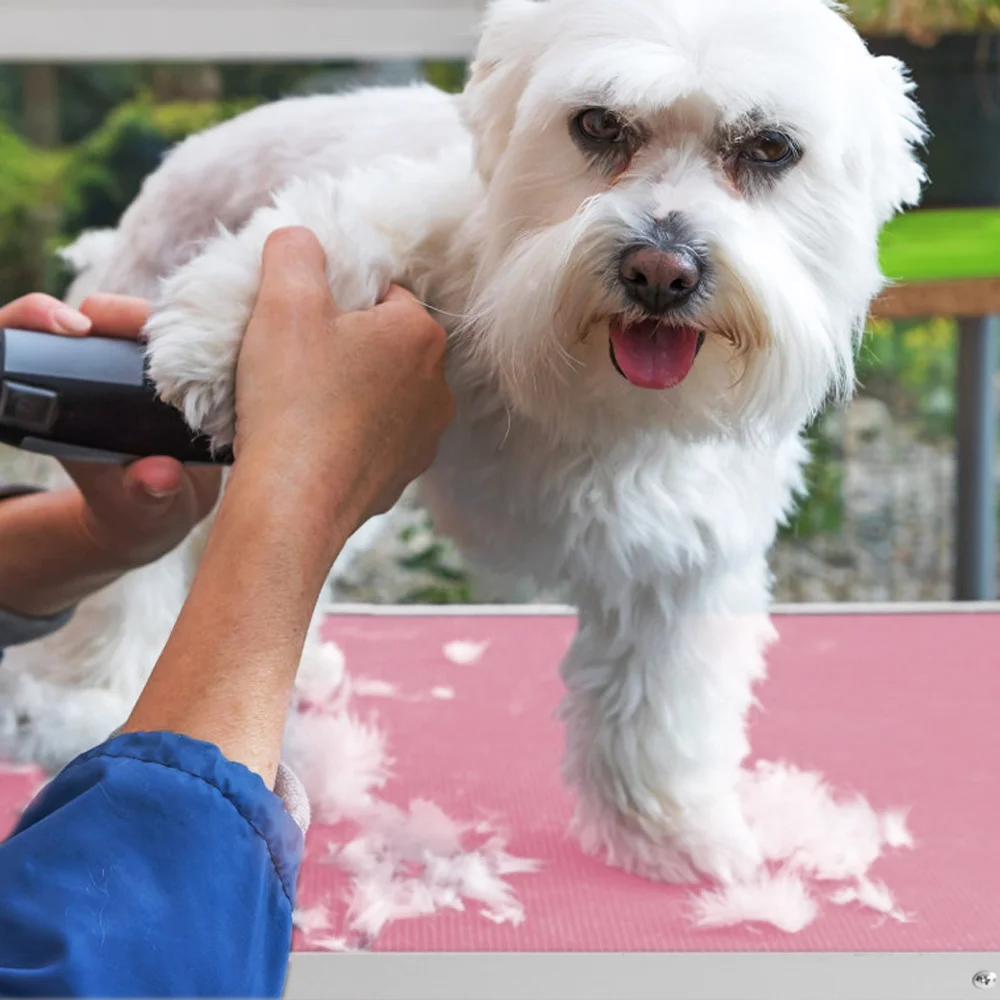 Renwick 36inch Pet Grooming Table Folding Adjustable Arm with Clamp, Pink - Image 2
