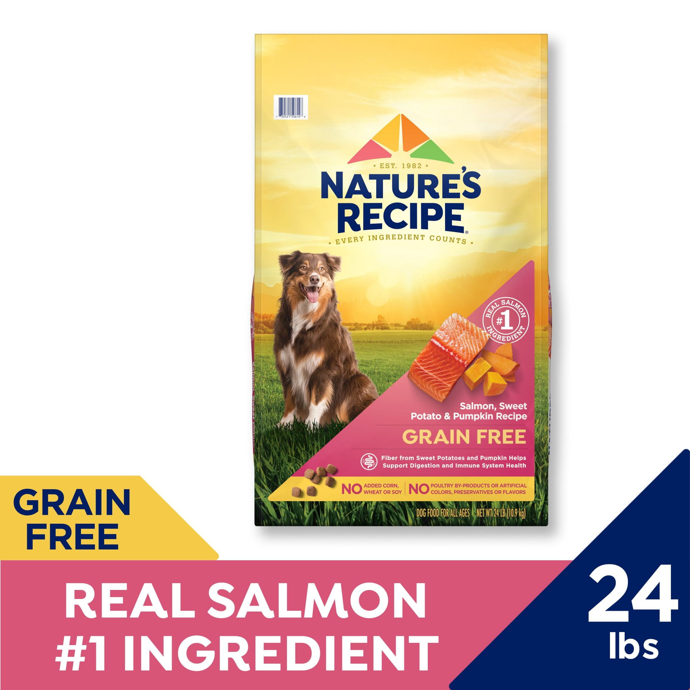 Nature’s Recipe Grain Free Salmon, Sweet Potato & Pumpkin Recipe Dry Dog Food, 24 lb. Bag - Image 10