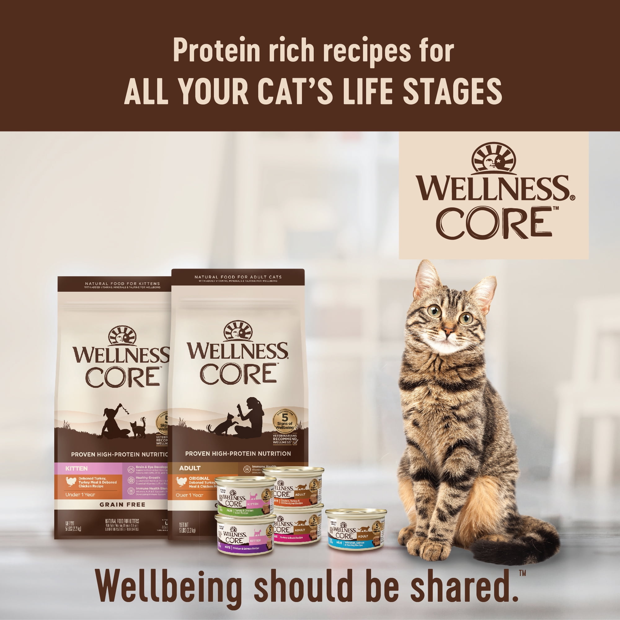 Wellness CORE Pate Kitten Wet Cat Food, Natural, Protein-Rich, Grain Free, 5.5 Ounce, 12 Pack (Turkey & Chicken Liver) - Image 7