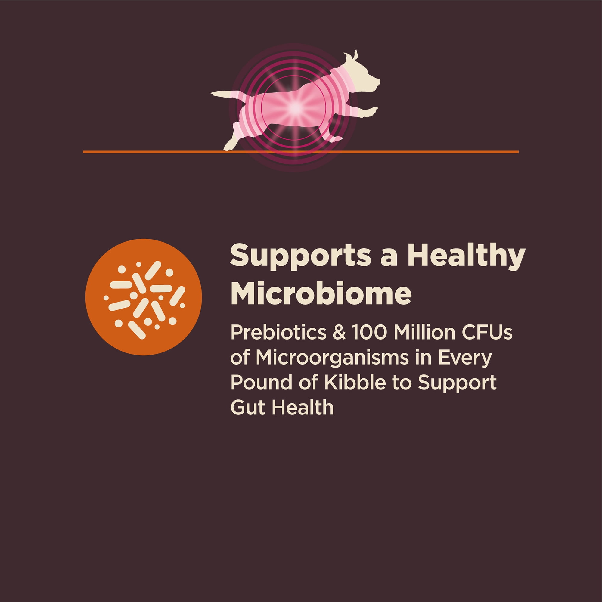 Wellness CORE Digestive Health Dry Dog Food, Small Breed, Wholesome Grains, Natural, High Quality Ingredients for Dogs with Sensitive Stomachs, Chicken Recipe, (12-Pound Bag) - Image 7