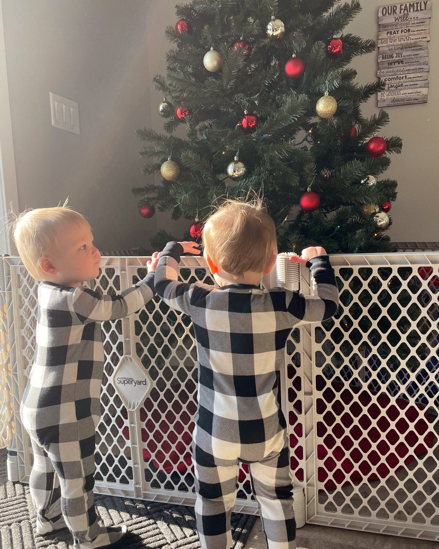 Toddleroo by North States Superyard Explorer Baby Play Yard, Gray Plastic - Image 7