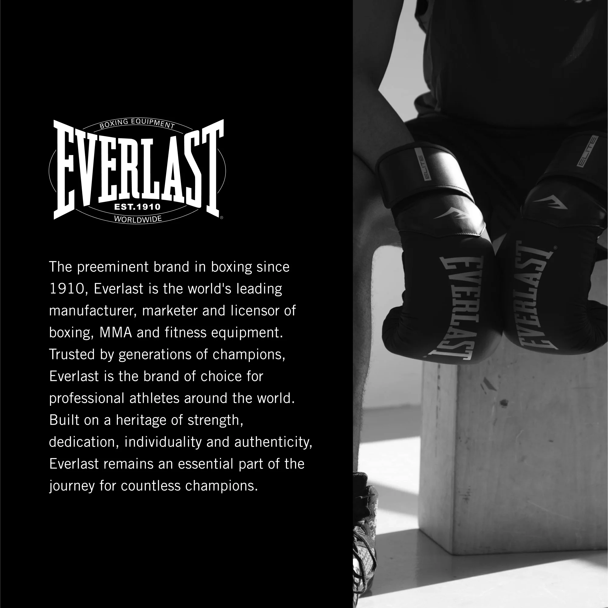Everlast Durable Heavy Punching Bag Kit, Black – with Elite Cardio Gloves & Hand Wraps - Image 2
