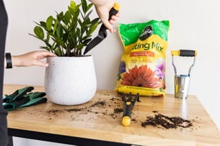 Frontier 48-inch Heavy-Duty Workbench with Adjustable Height, Wood Worktop, Steel Frame - Image 11