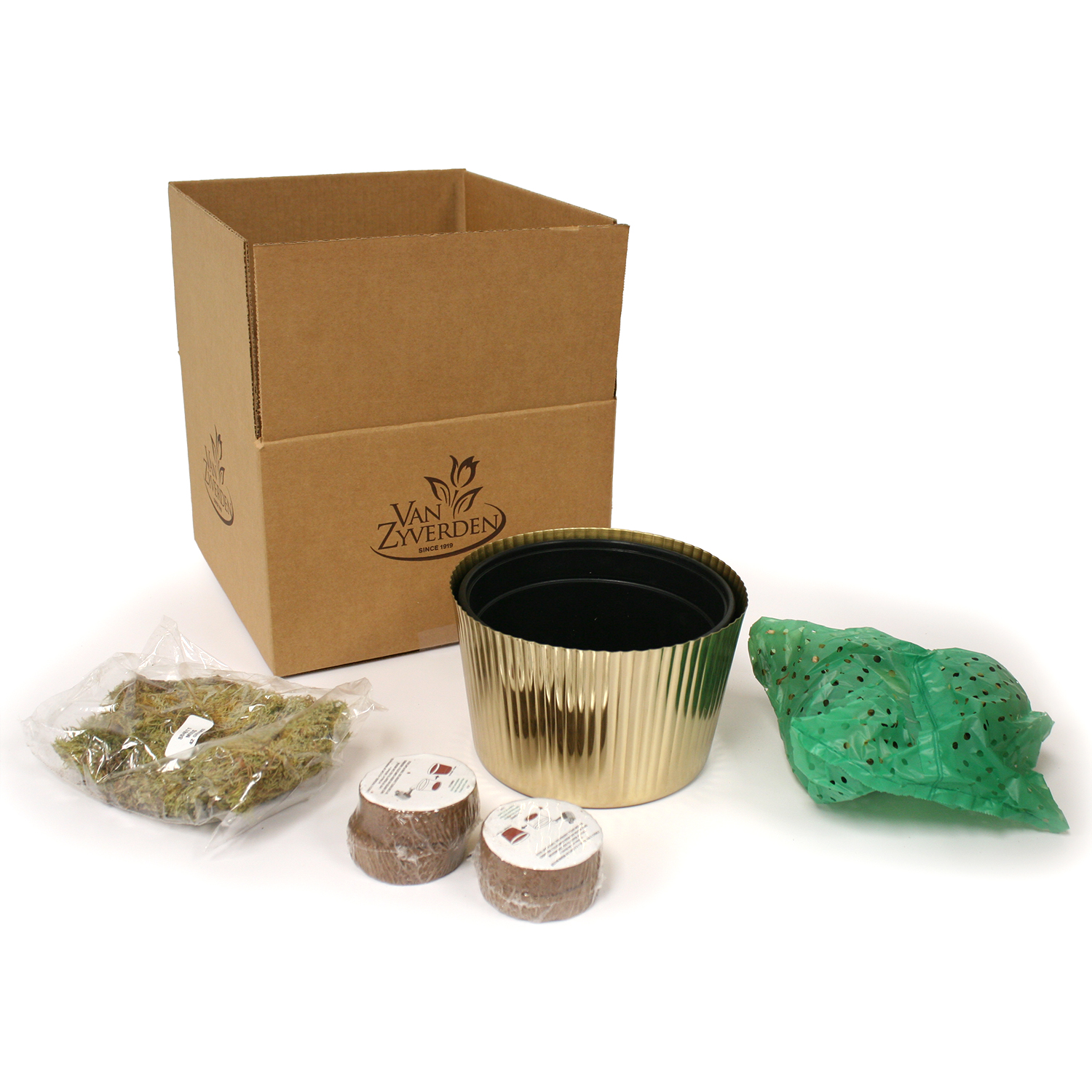 Van Zyverden Amaryllis Kit Trio with Fluted Iron Faux Brass Finish Bulb Planter and 3 Bulbs Multicolor Partial Sun Perennial Easy to Grow 5 lbs - Image 3