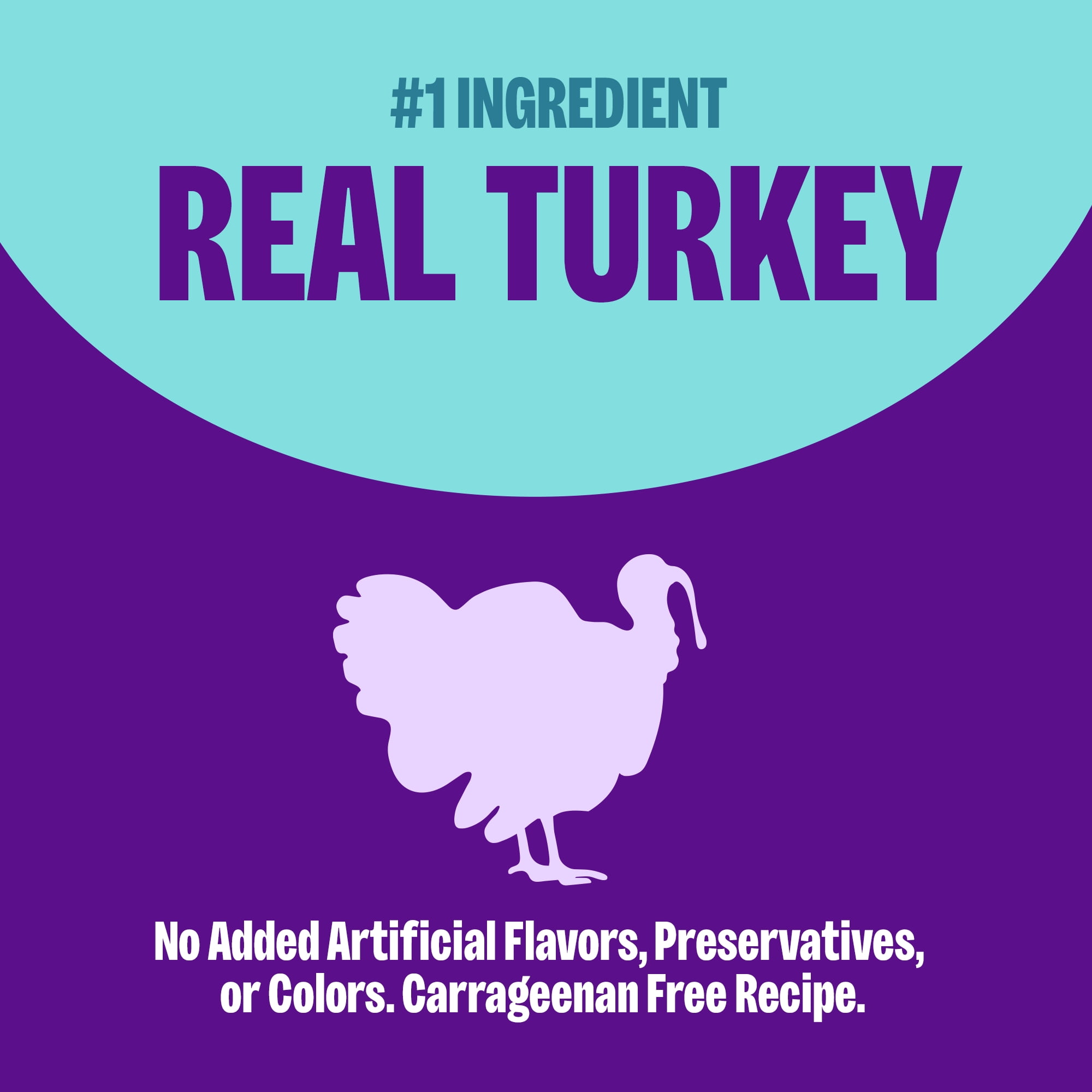 Wellness Complete Health Pate Adult Wet Cat Food, Natural, Protein-Rich, Grain Free, 3 Ounce, 24 Pack, (Turkey) - Image 6