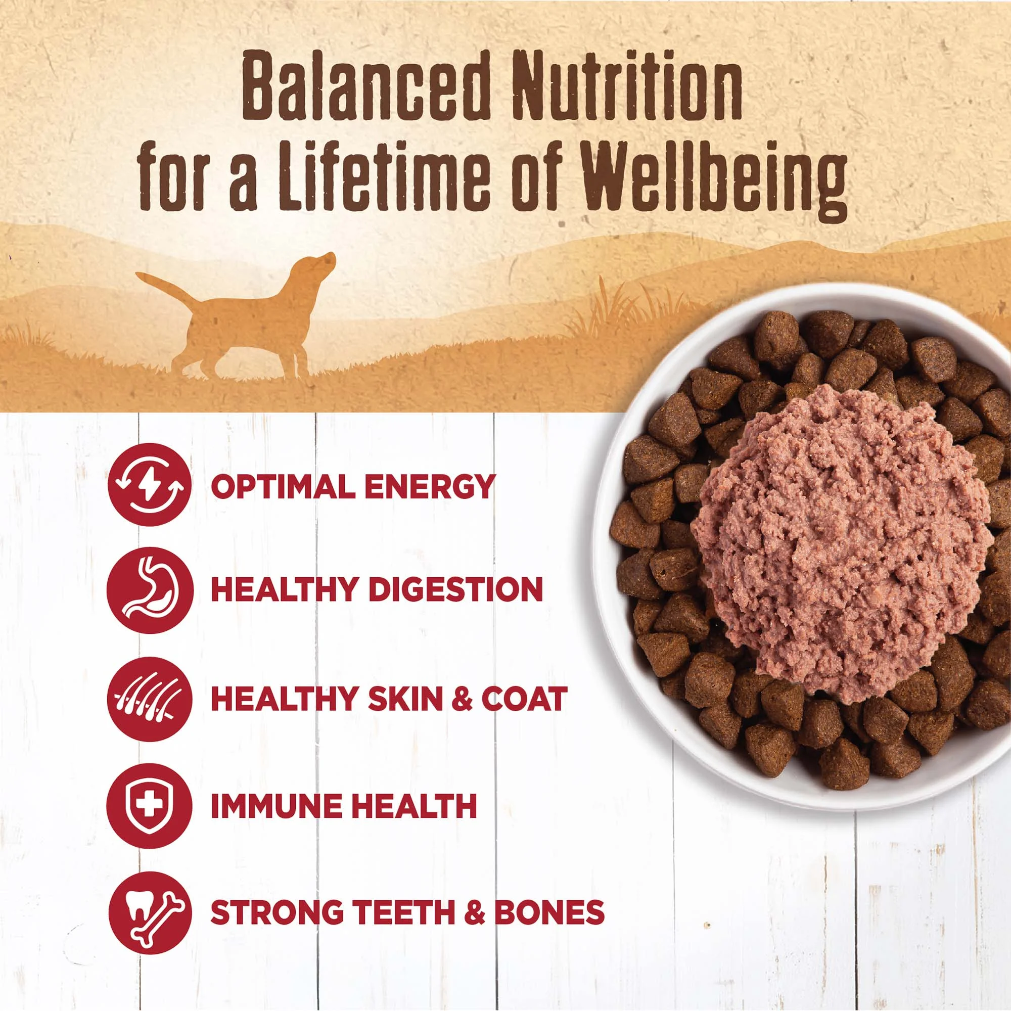 Wellness 95% Beef Natural Wet Grain Free Canned Dog Food, 13.2-Ounce Can (Pack of 12) - Image 4