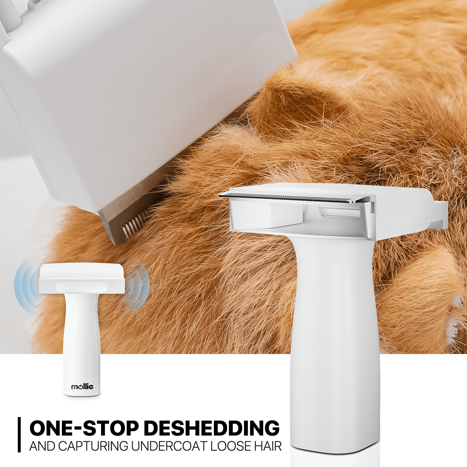 mollie Dog Cat Grooming Kit & Vacuum Suction & Blower 3-in-1, Professional Pet Grooming Vacuum Set with 6 Grooming Tools, Electric Trimmer with Guide Combs, Christmas Gift, Blue - Image 10