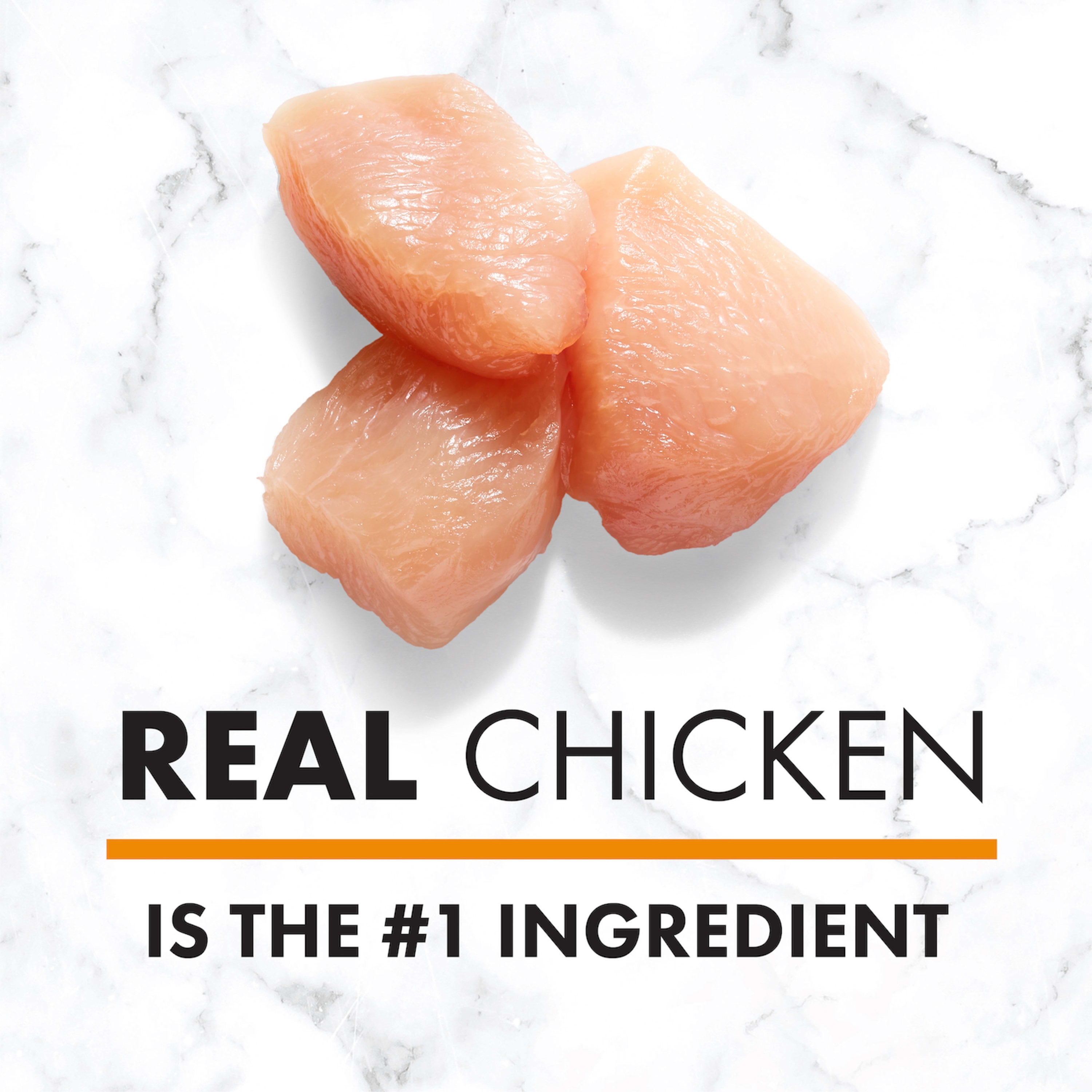 NUTRO NATURAL CHOICE Chicken & Brown Rice Flavor Dry Dog Food for Adult Dog, 40 lb. Bag - Image 3