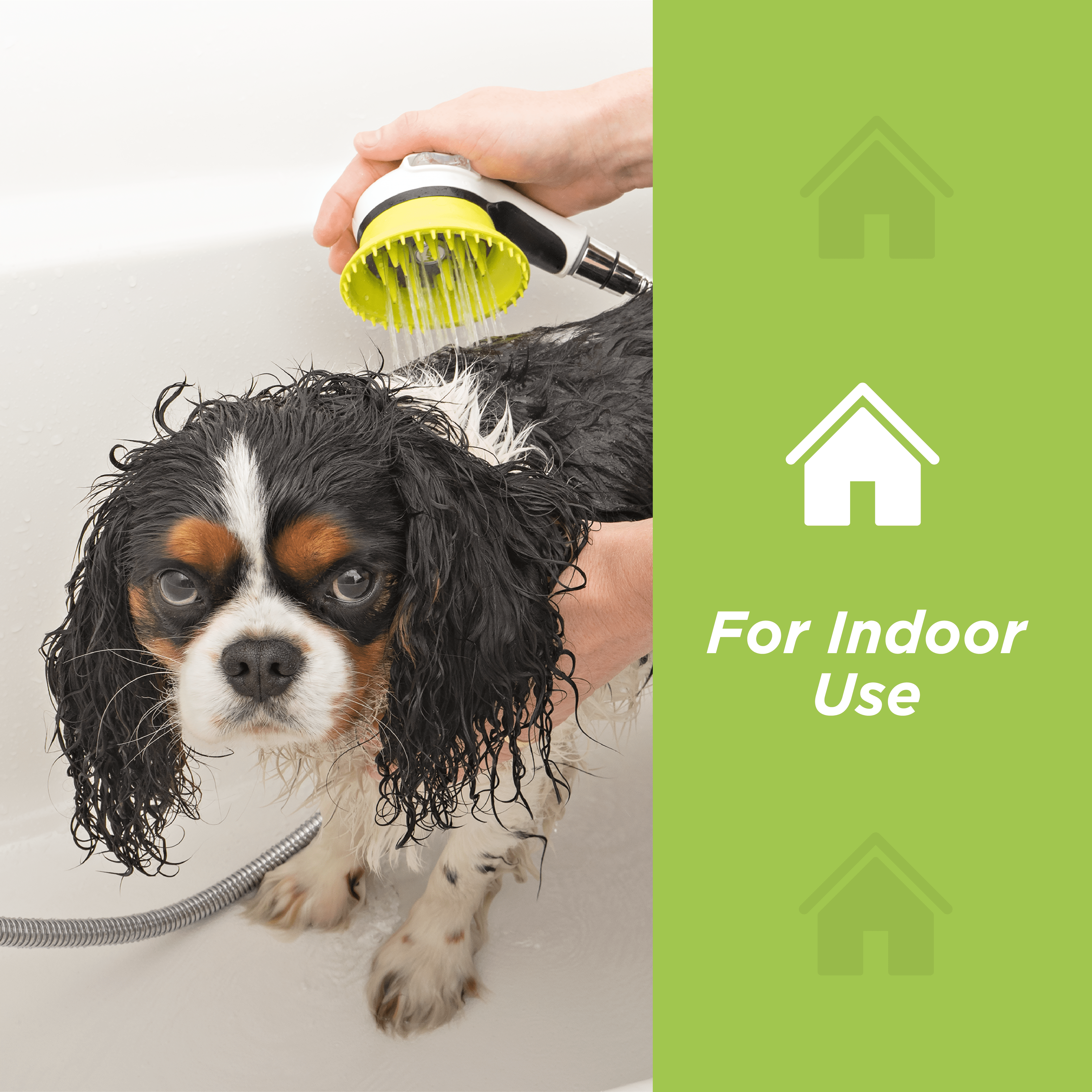 Wondurdog Quality Dog Wash Kit for Shower with Splash Guard Shield and Rubber Grooming Teeth. - Image 4