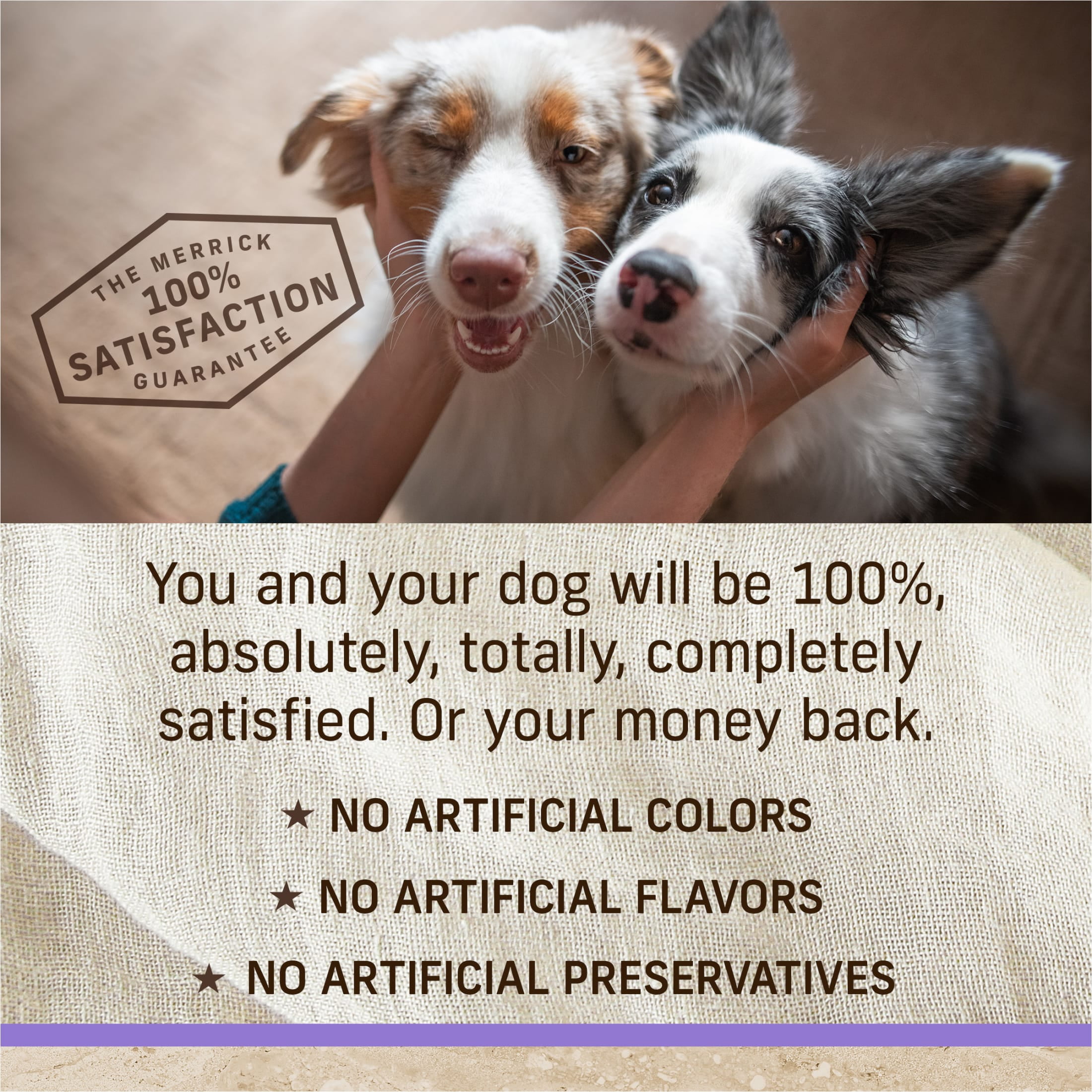 Merrick Chicken Dry Dog Food For Puppies, Whole Grain,12 lb Bag - Image 3