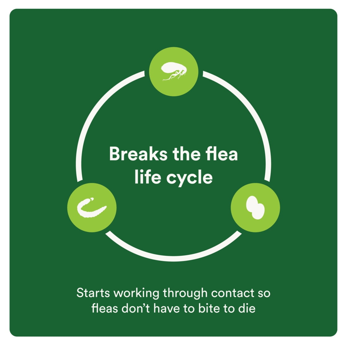 (3 pack) Advecta Plus Flea Protection for Large Cats, Fast-Acting Topical Flea Prevention, 4 Count - Image 7