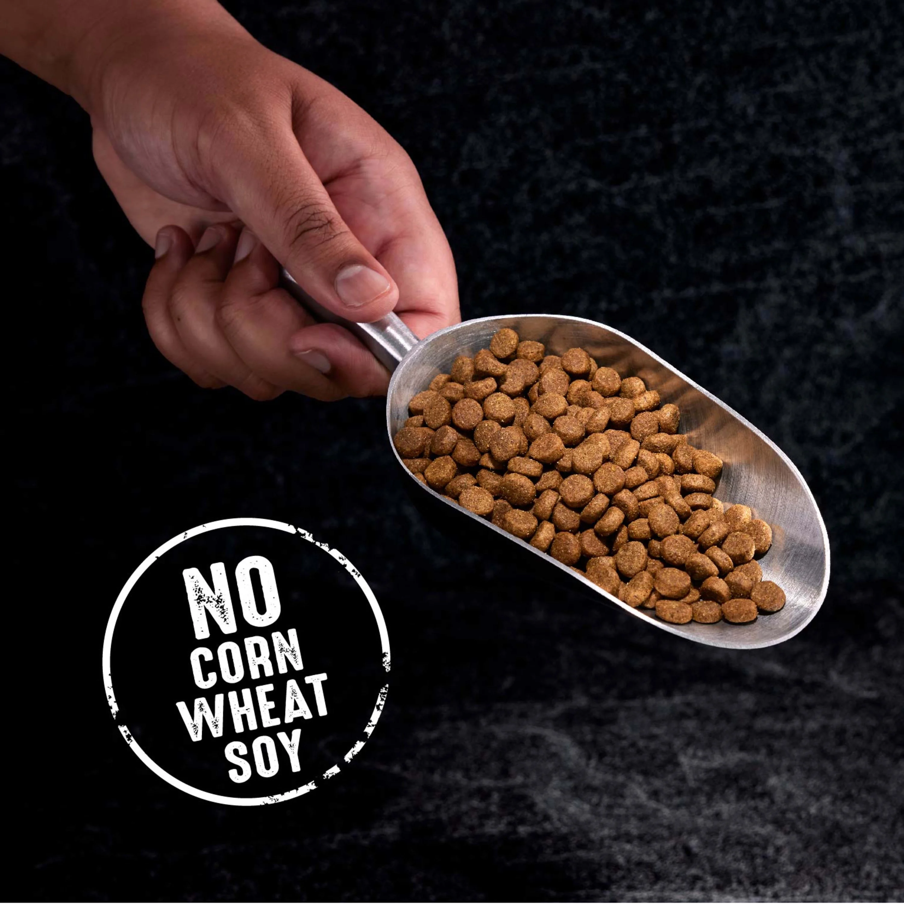 Crave Grain Free Adult Dry Dog Food With Protein From Beef, 22 Lb. Bag - Image 7