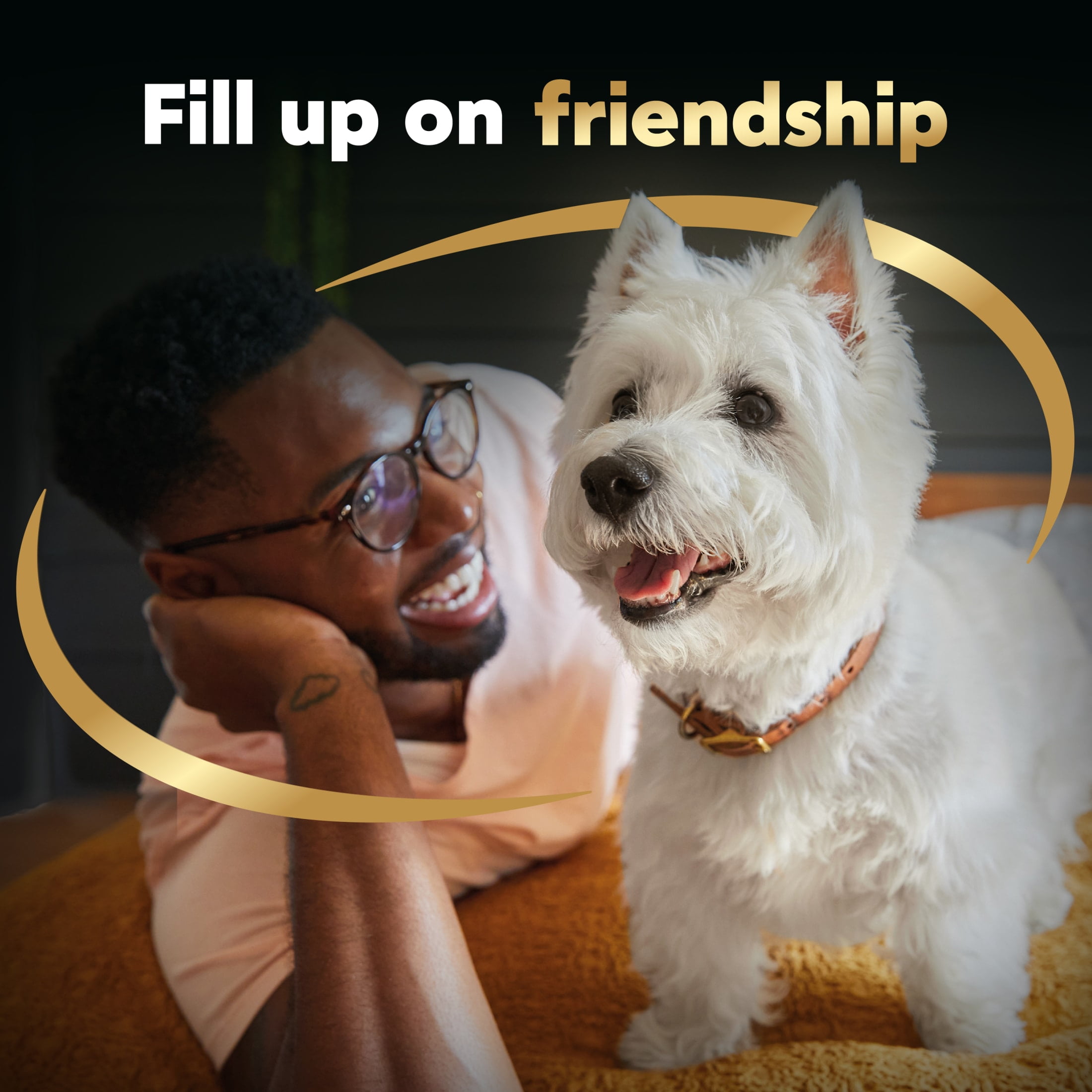 Cesar Steak And Chicken Lovers Wet Dog Food Variety Pack, 3.5 Oz Trays (36 Pack) - Image 4