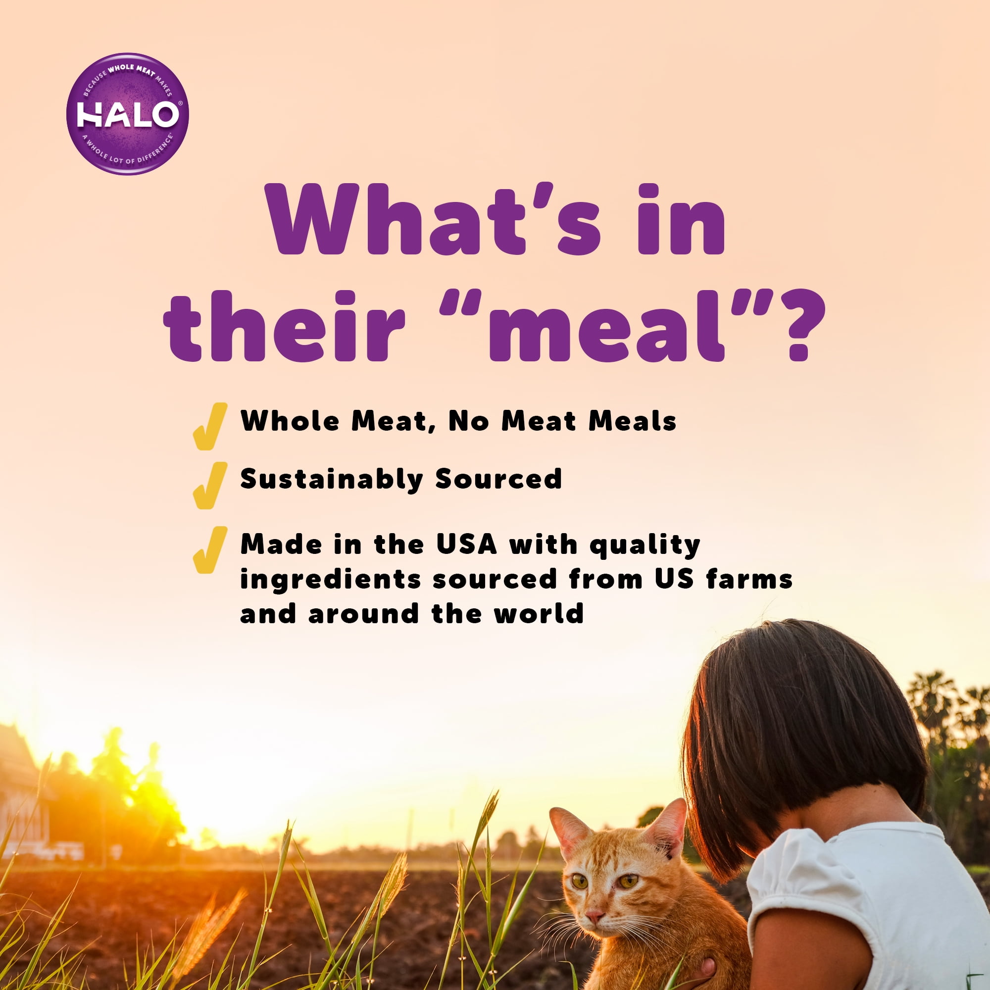 Halo Natural Dry Cat Food, Wild Salmon & Whitefish Recipe, 10-Pound Bag - Image 4