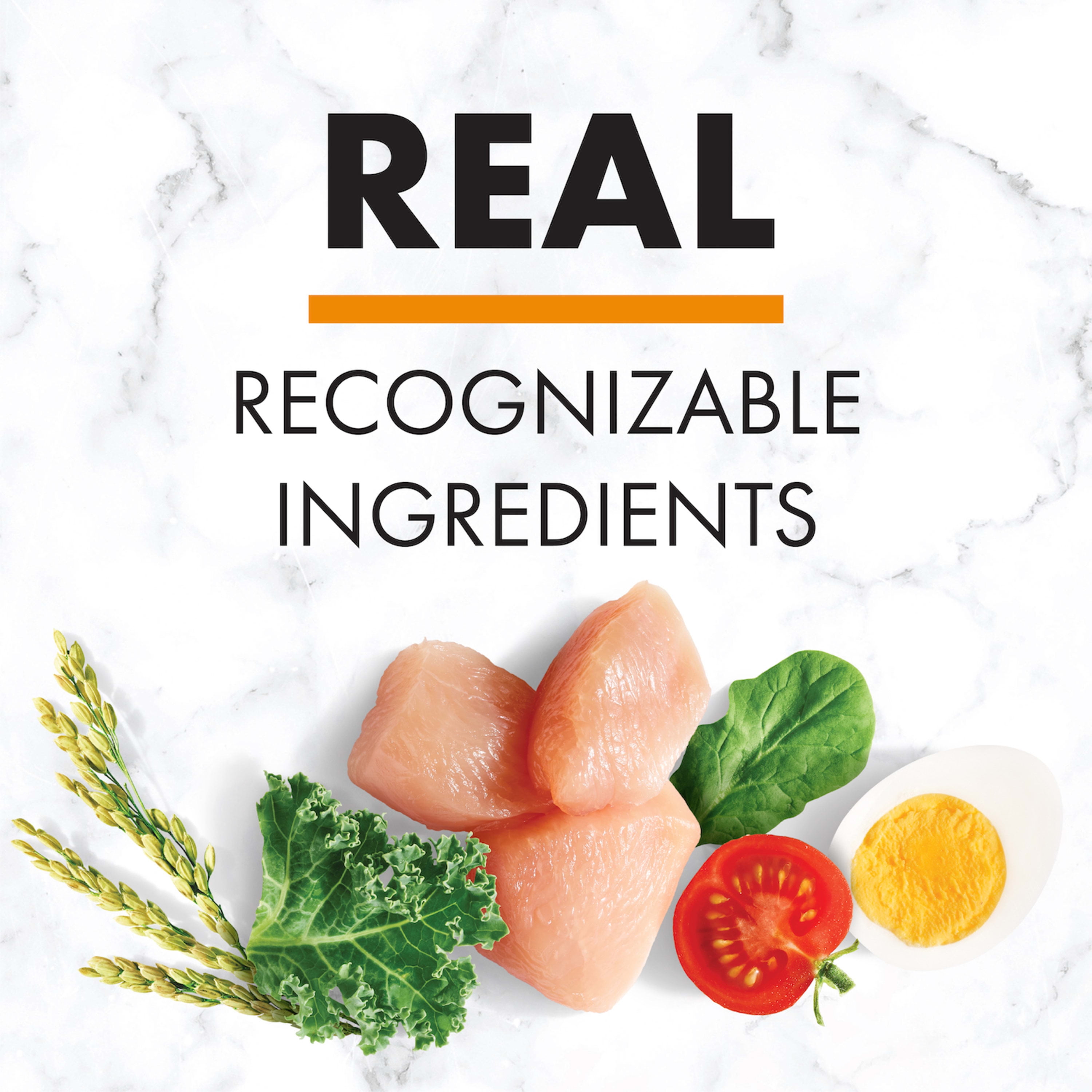 NUTRO NATURAL CHOICE Chicken & Brown Rice Flavor Dry Dog Food for Adult Dog, 40 lb. Bag - Image 10