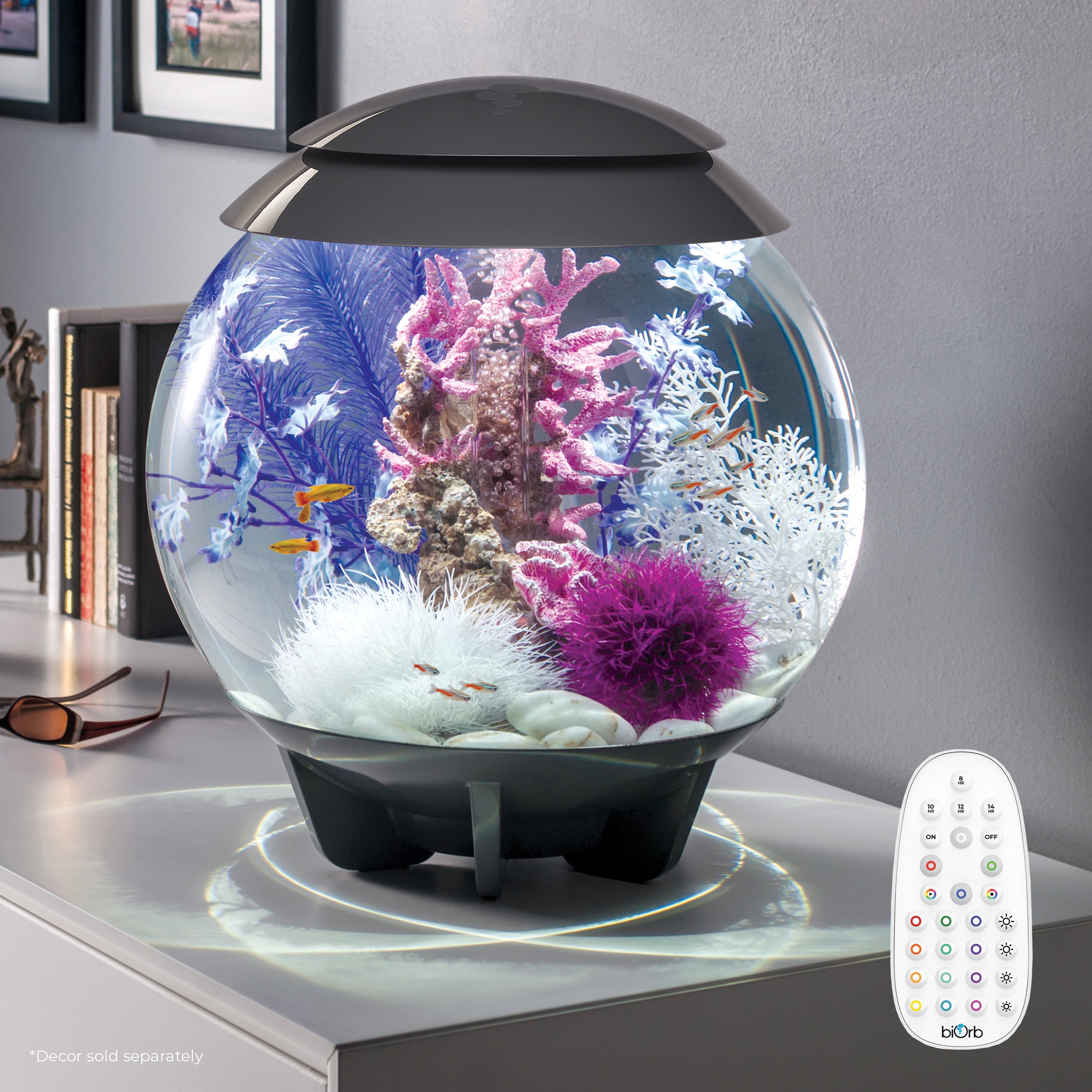 biOrb HALO 30 Aquarium with MCR Light - 8 gallon, gray - Image 6