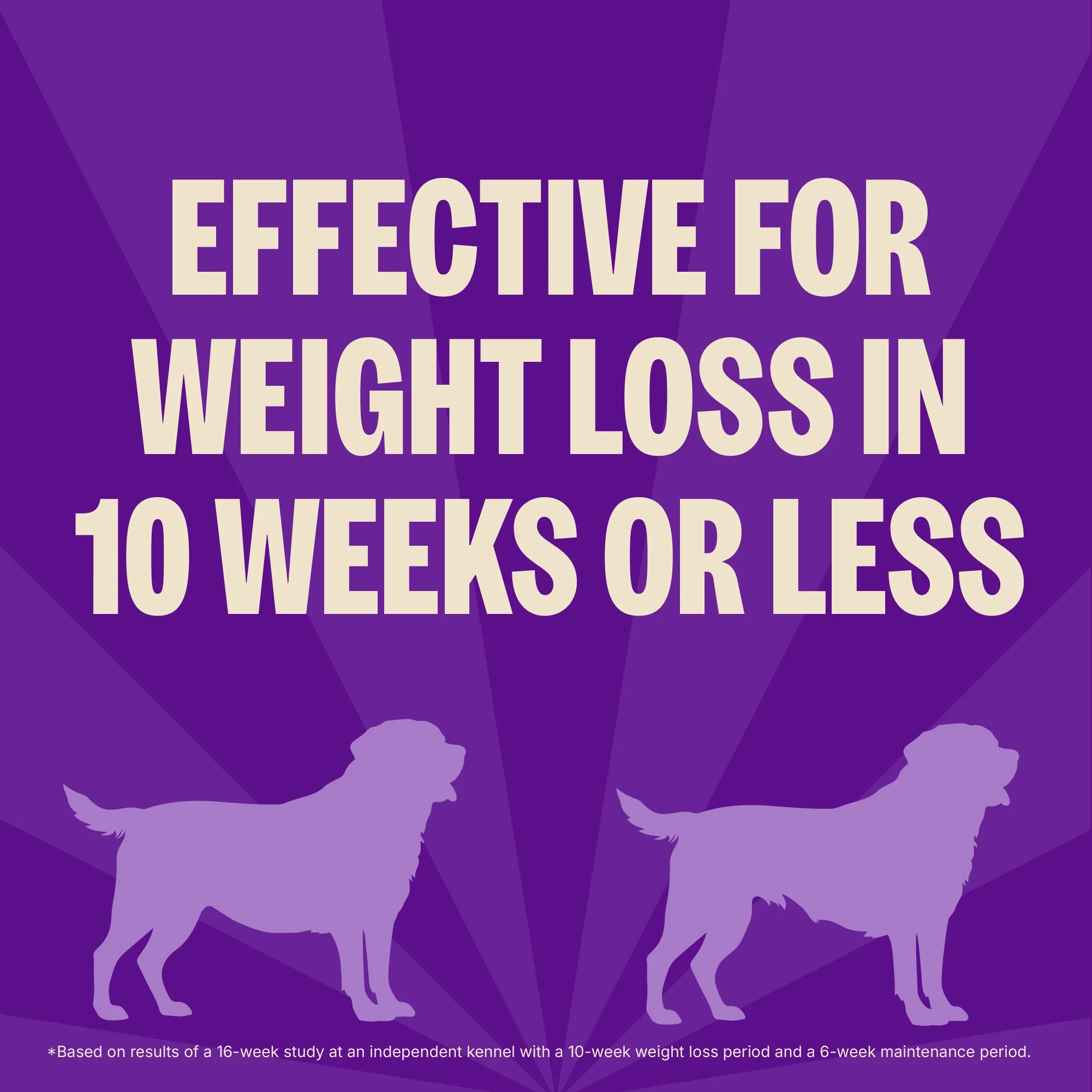 Wellness CORE Dry Dog Food, Grain Free, High Protein, Natural, Healthy Weight Turkey & Chicken Recipe, (26-Pound Bag) - Image 4