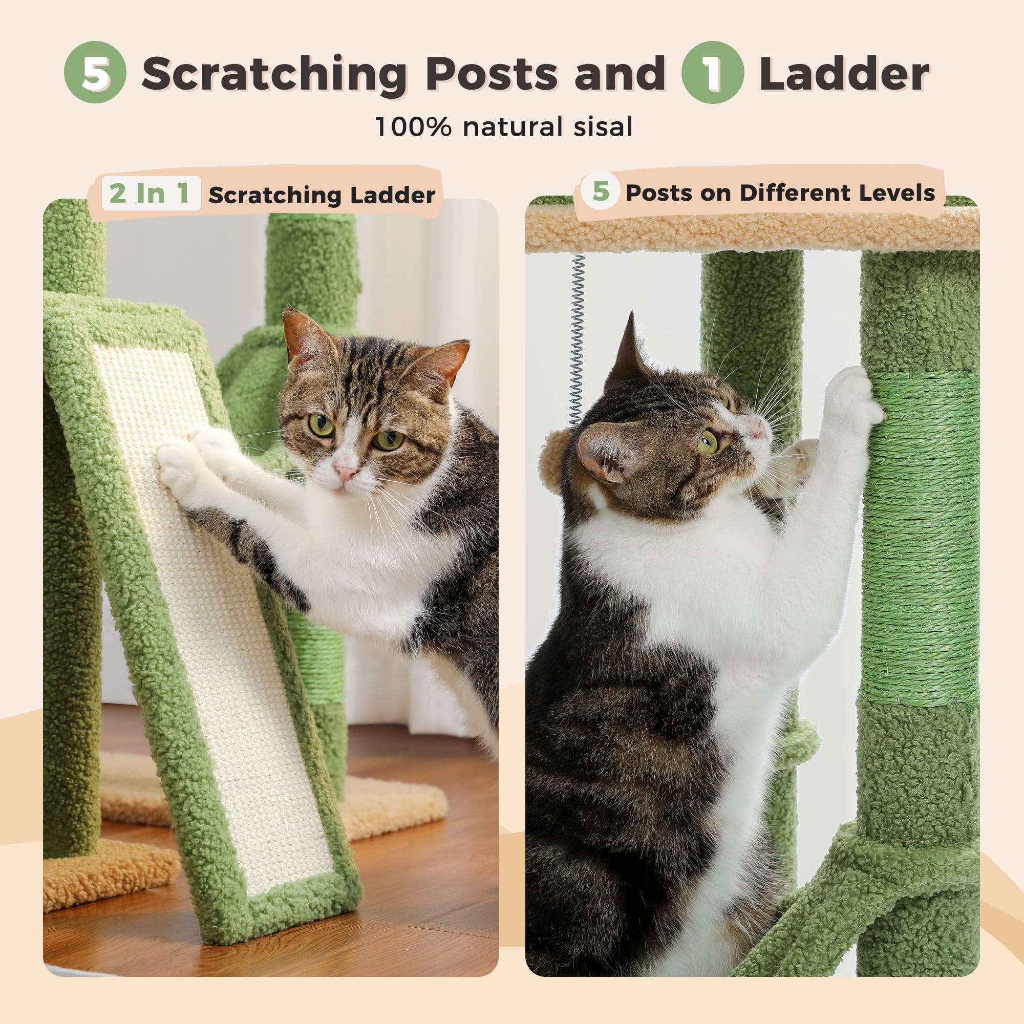PAWZ Road 85-112" Cactus Cat Tree Floor to Ceiling Adjustable Climbing Cat Tower Scratching Post 2-Hammocks, Green - Image 5