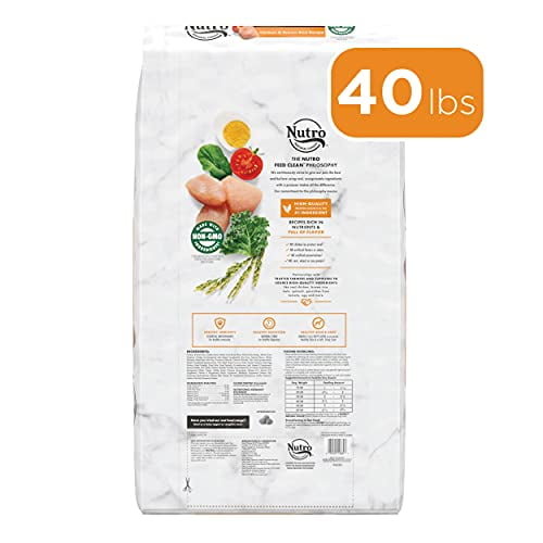 NUTRO NATURAL CHOICE Chicken & Brown Rice Flavor Dry Dog Food for Adult Dog, 40 lb. Bag - Image 2