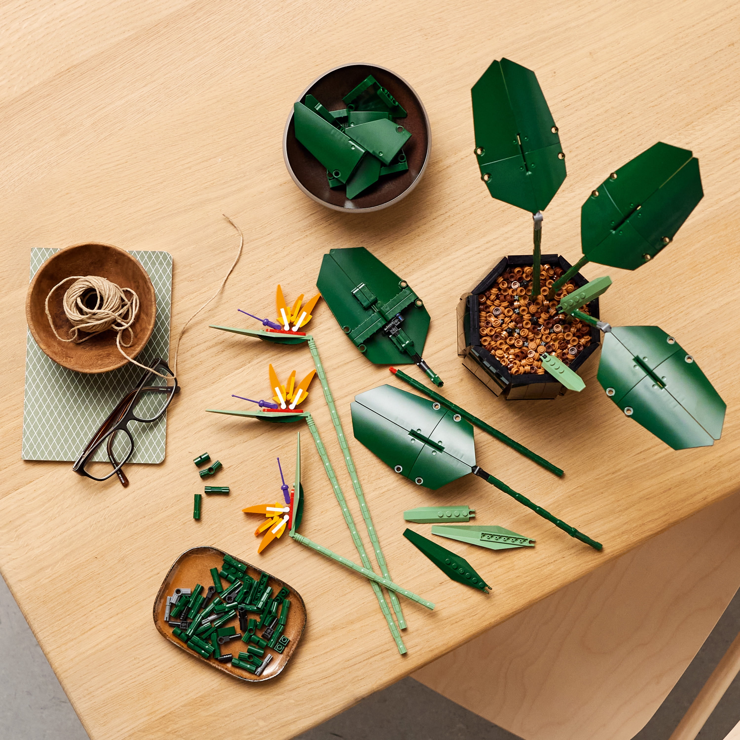 LEGO Icons Botanical Collection Bird of Paradise 10289, Flowers & Plants Model, DIY Set for Adults, Creative Activity, Office or Home Décor Gift Idea - Image 5