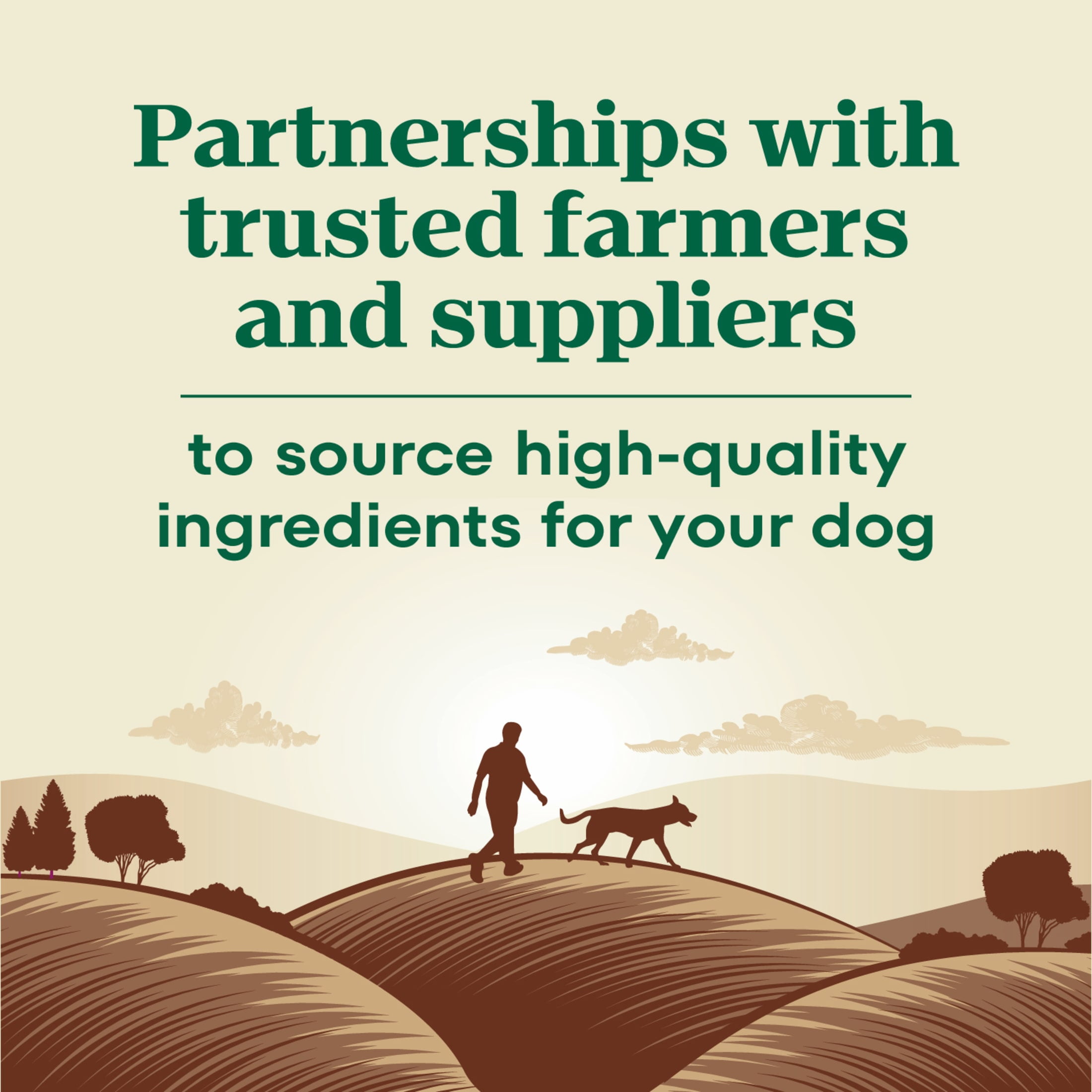 Nutro Max Senior Dry Dog Food with Farm-Raised Chicken, 25 lb. Bag - Image 9