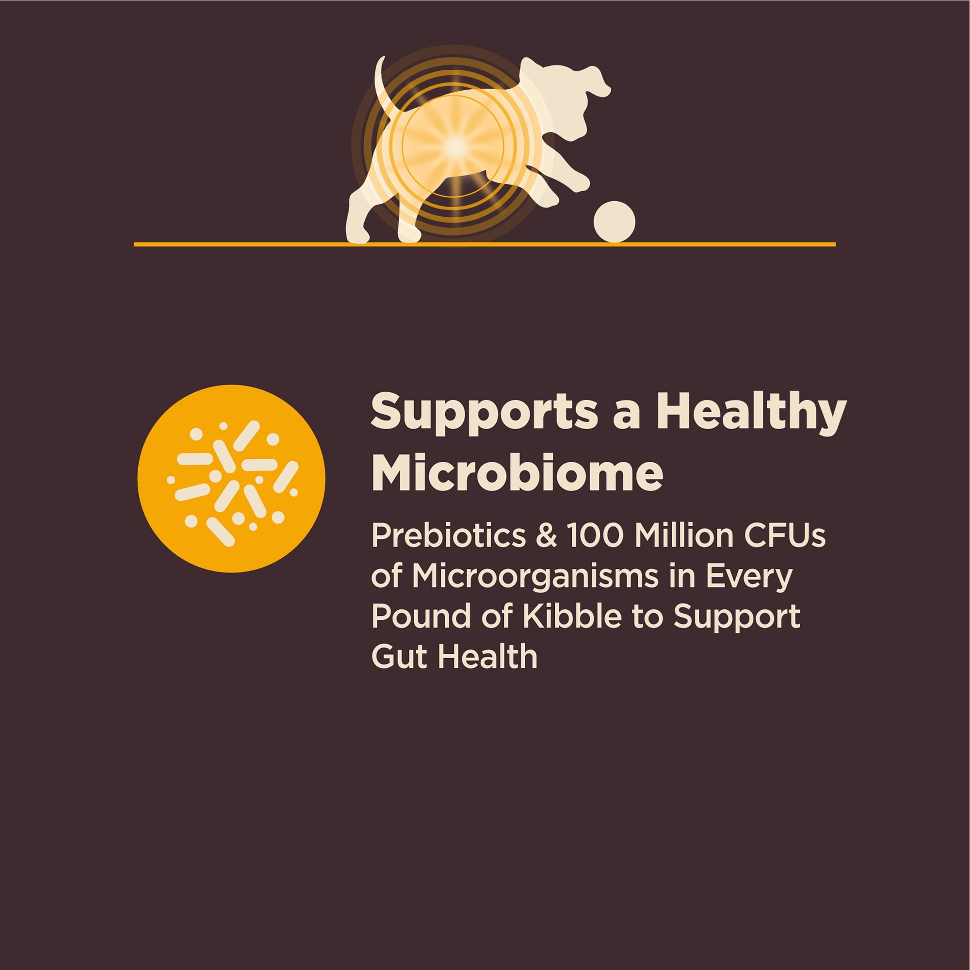 Wellness CORE Digestive Health Puppy Dry Dog Food, Wholesome Grains, Natural, High Quality Ingredients for Dogs with Sensitive Stomachs, Chicken Recipe, (24-Pound Bag) - Image 8