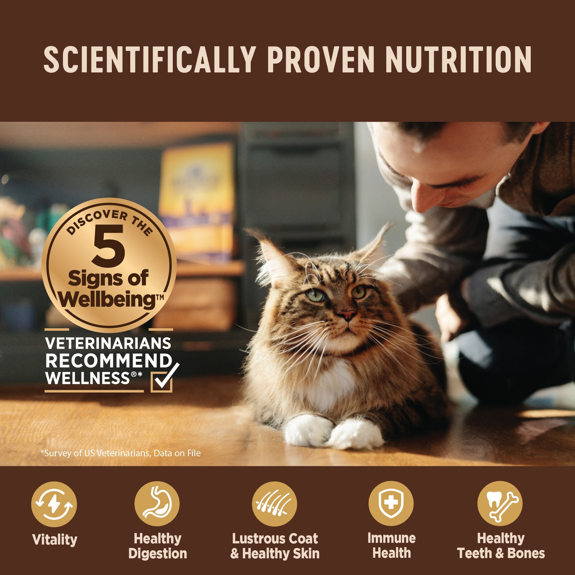 Wellness CORE Pate Kitten Wet Cat Food, Natural, Protein-Rich, Grain Free, 5.5 Ounce, 12 Pack (Turkey & Chicken Liver) - Image 3