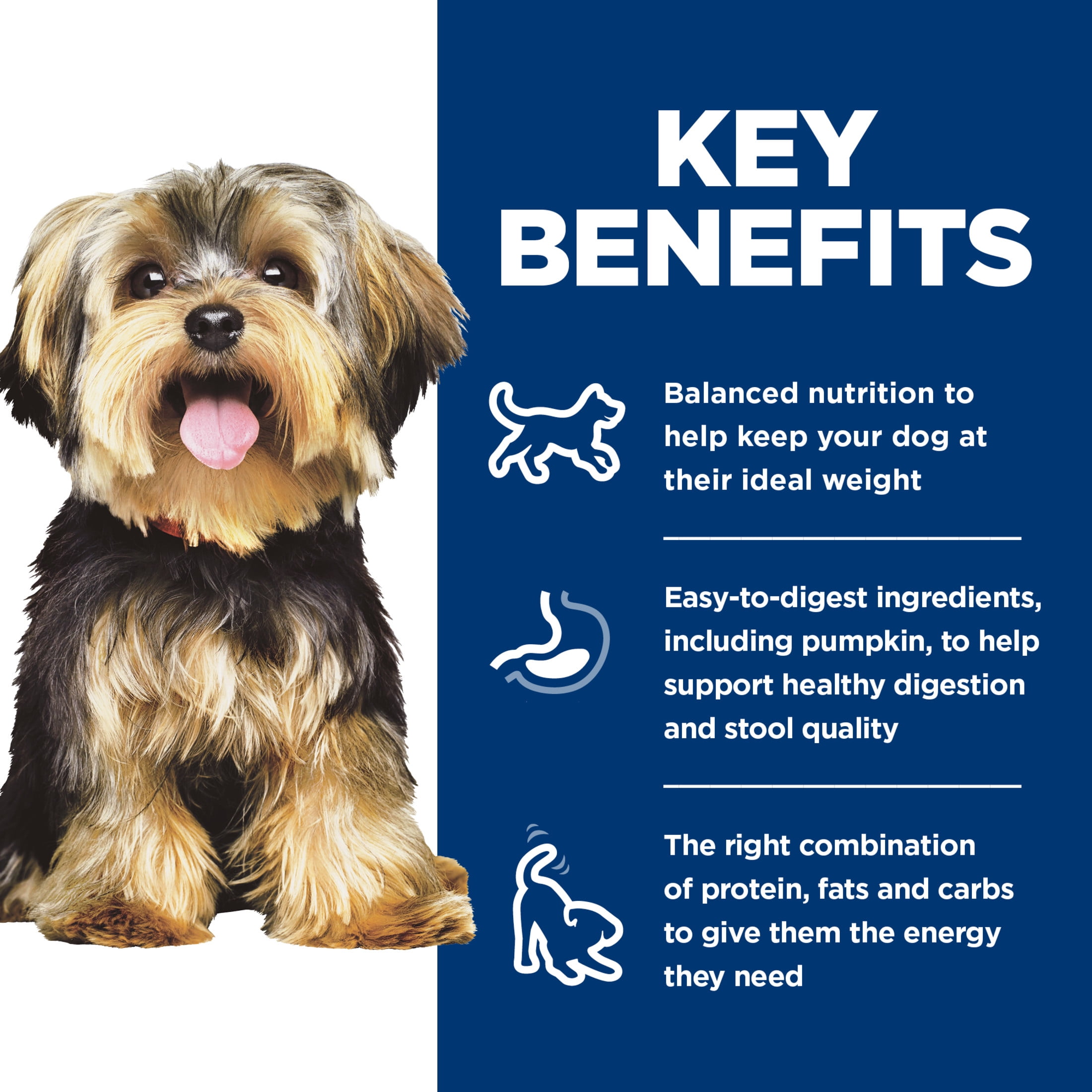 Hill's Science Diet Small & Mini Chicken & Barley Wet Dog Food for 7+ Senior Dogs, 5.8oz Can 24pk - Image 5